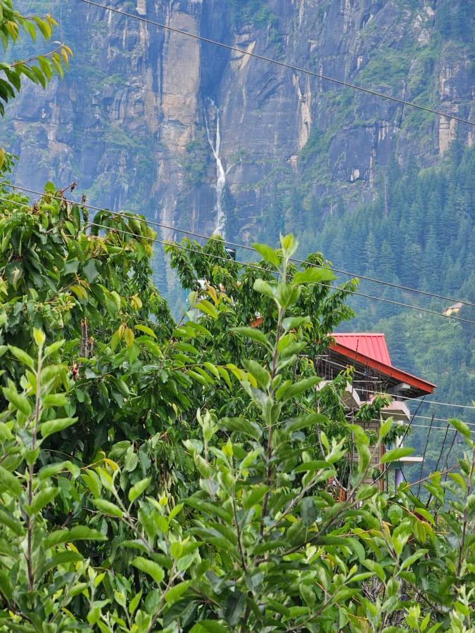 Orchards House - The Hidden Tribe Guest house