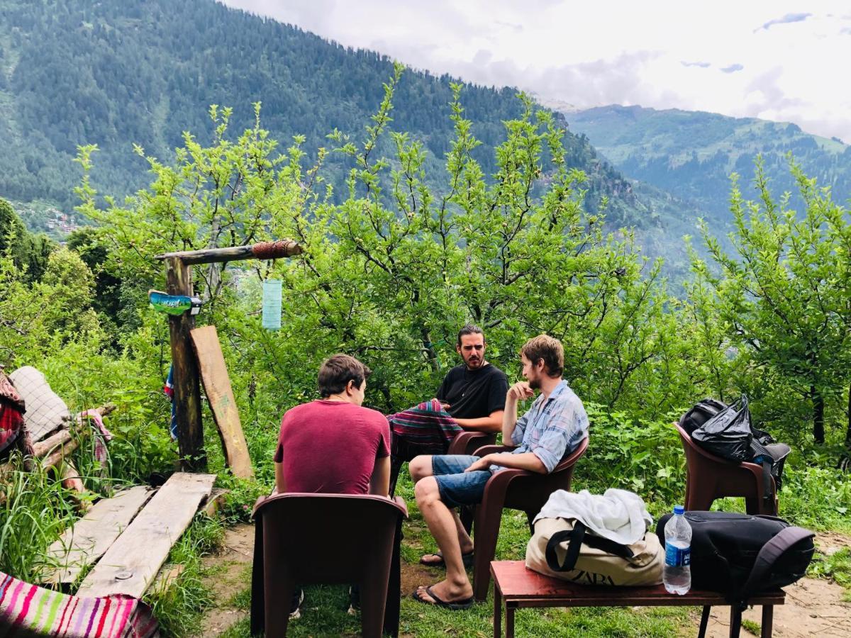 Dorm * Manali (Himachal Pradesh)