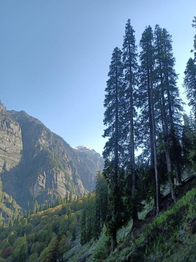 Mystic Heist And Cafe 4* Manali (Himachal Pradesh)