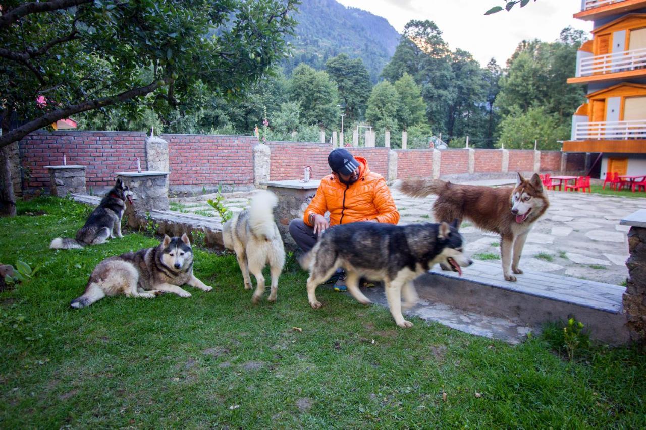 Hotel The Husky And Cafe 3*