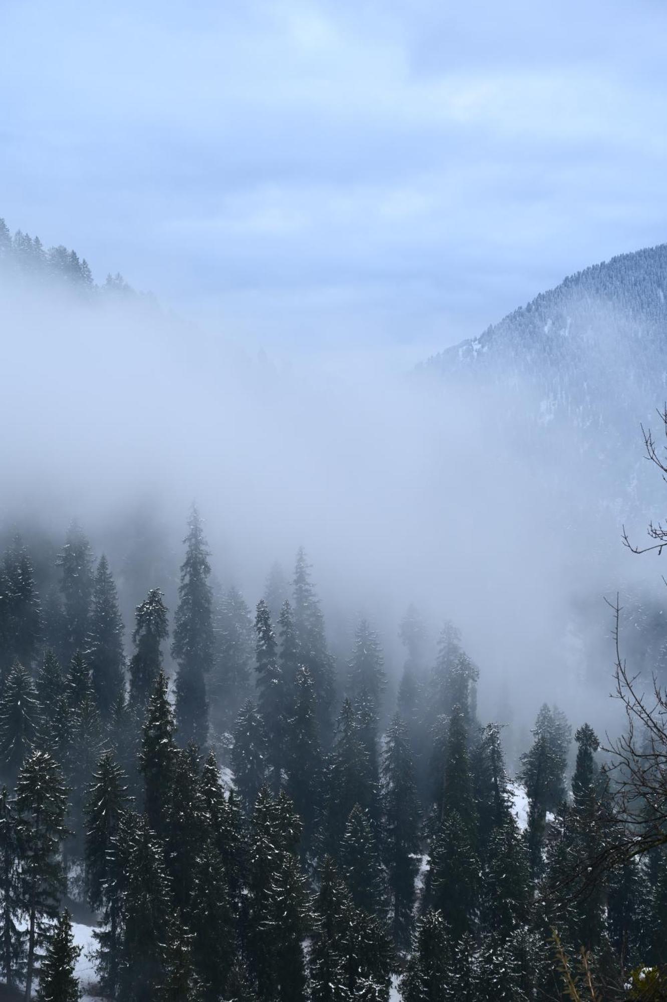 Ahorastays Manali (Himachal Pradesh)