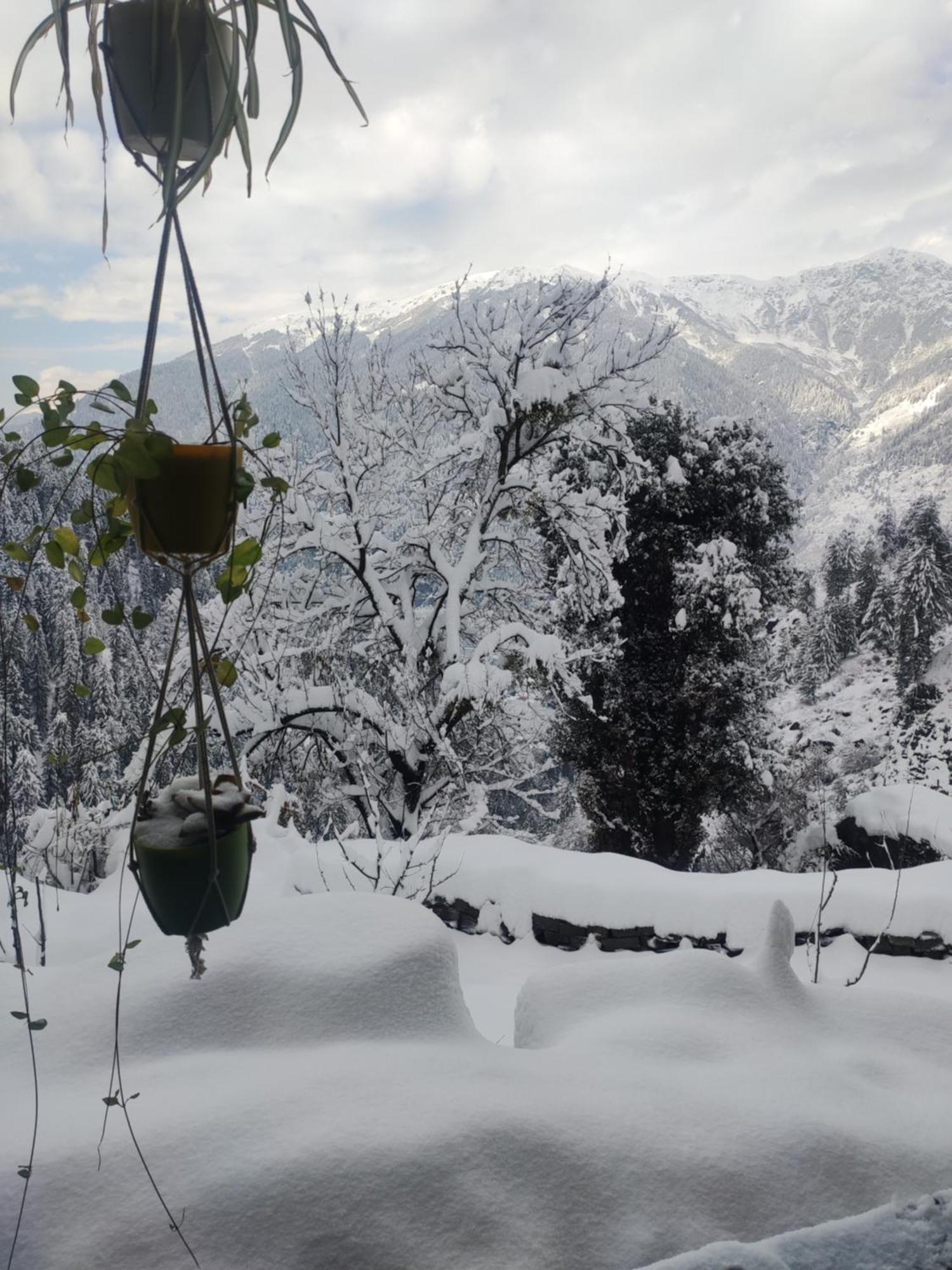 Ahorastays Homestay Manali (Himachal Pradesh)