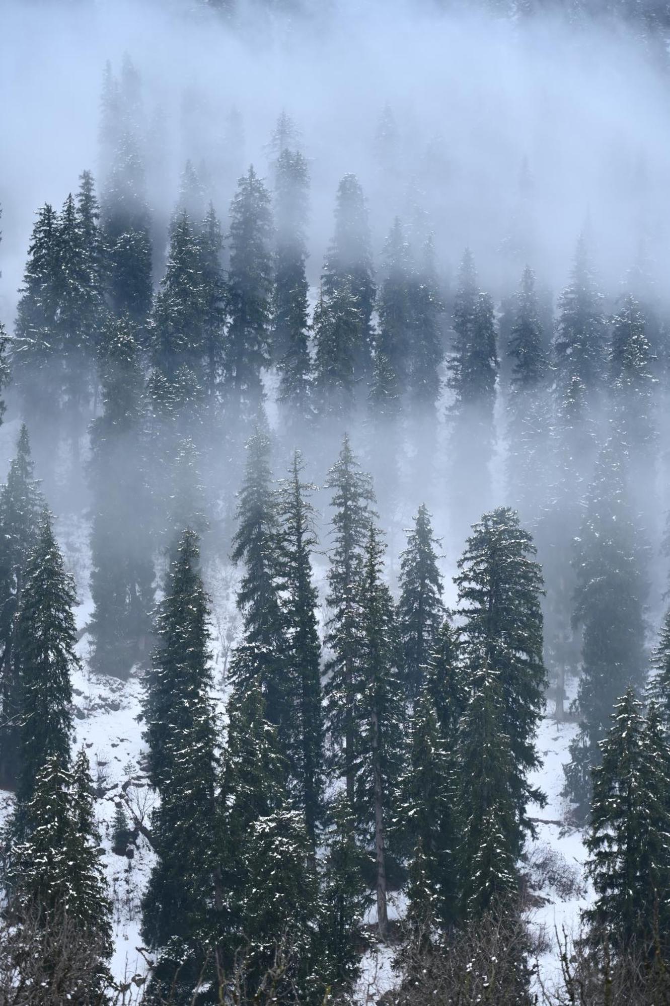 Homestay Ahorastays Manali (Himachal Pradesh)