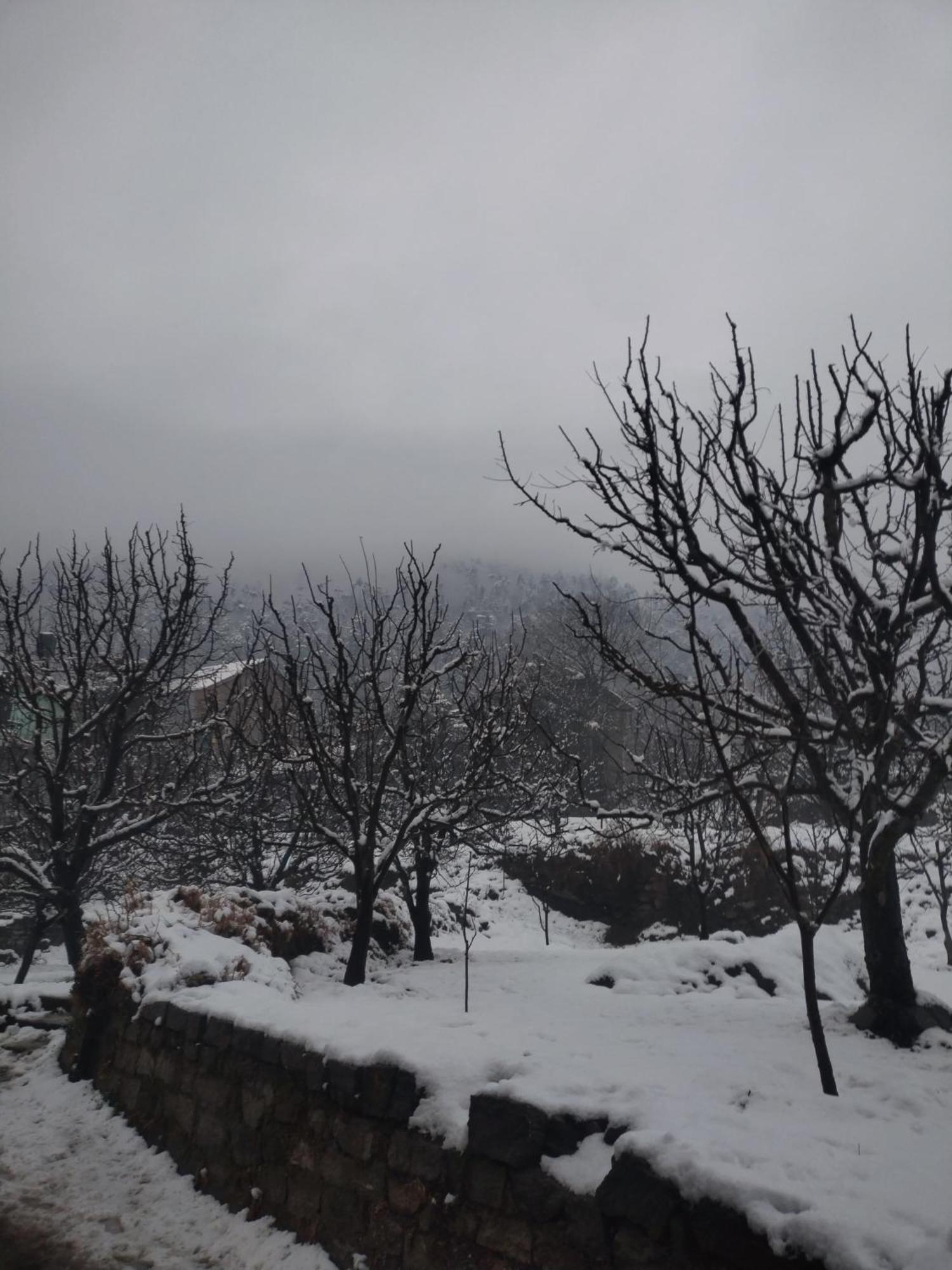 Meluha Hikes And Stays Homestay *