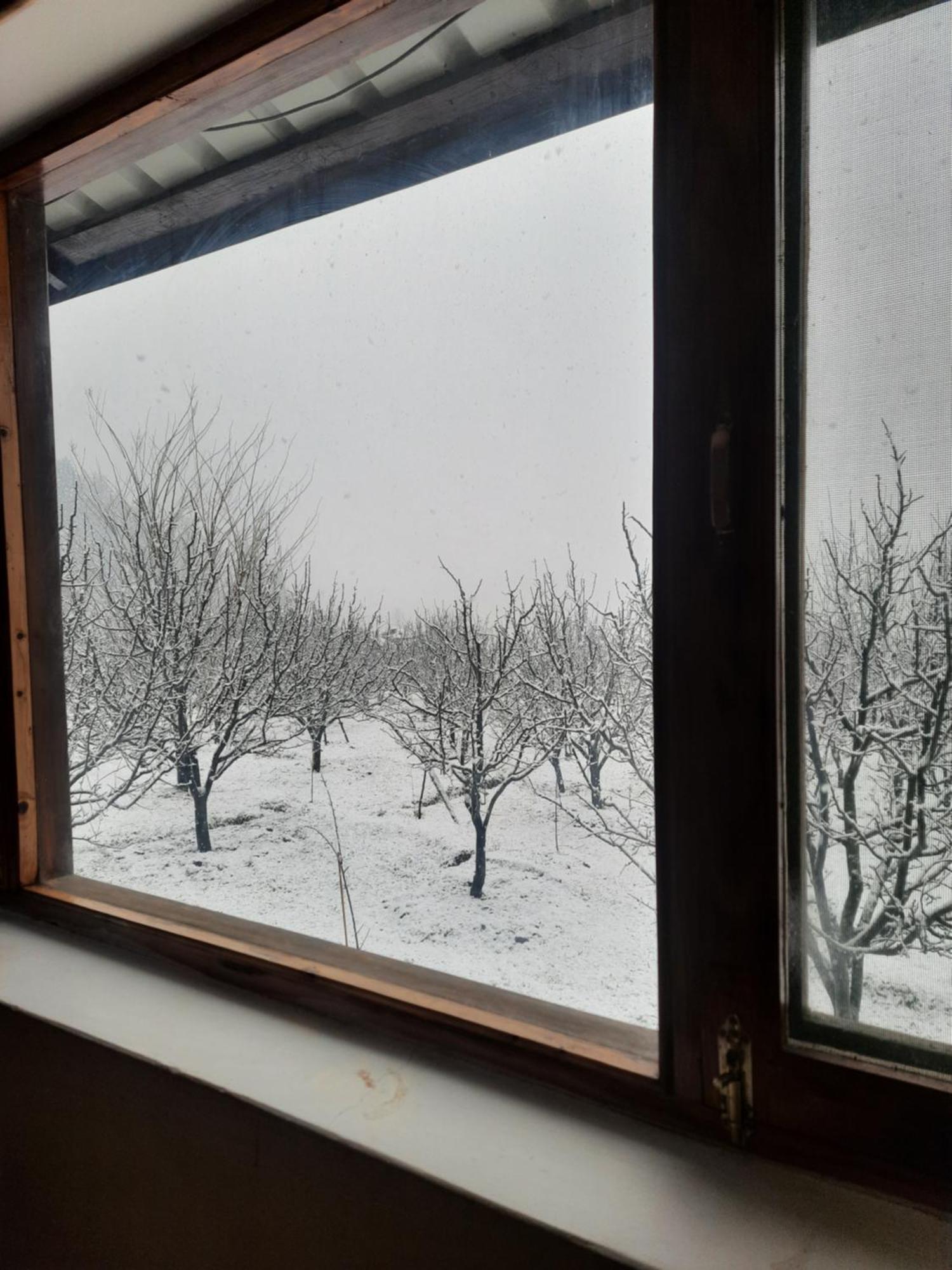 Hostel The Hideout - Hiraeth Manali (Himachal Pradesh)