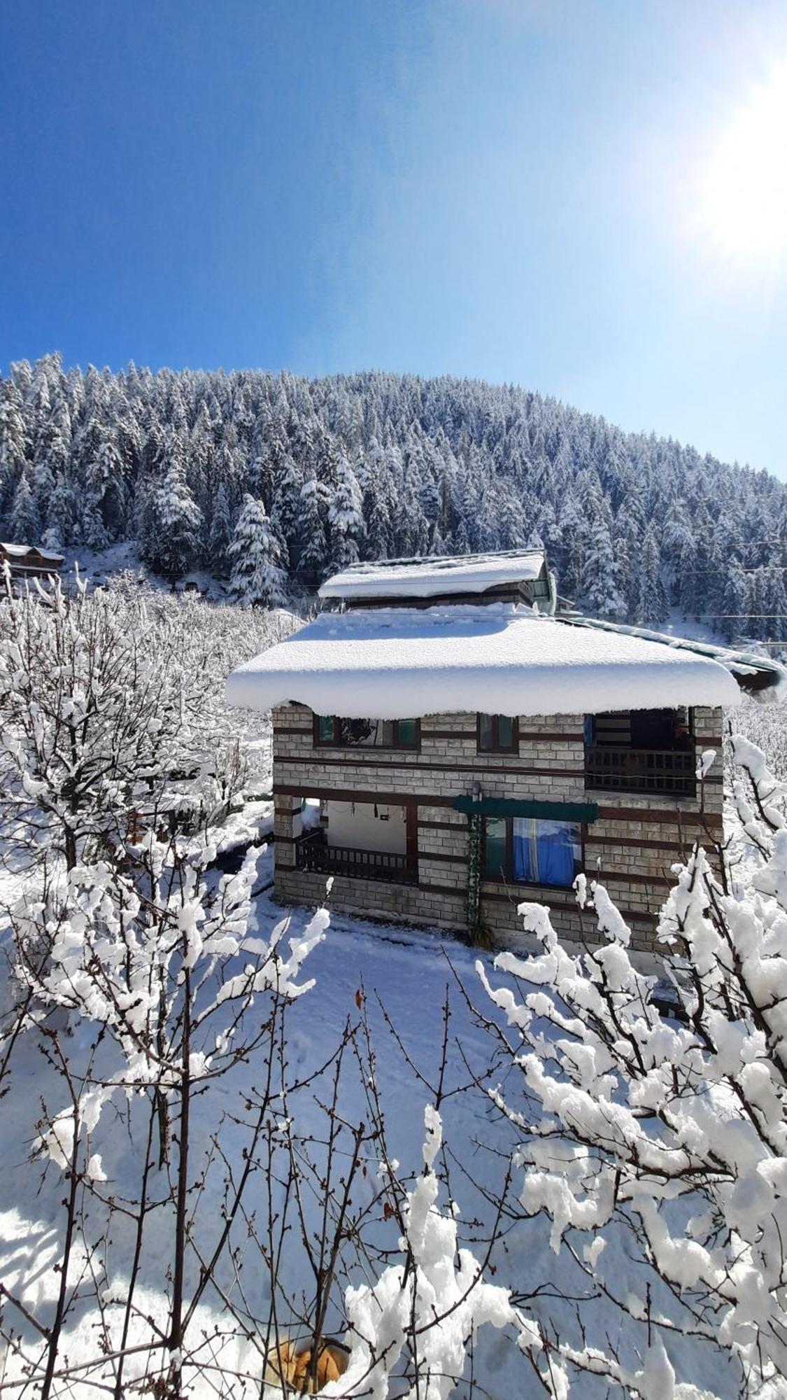 The Hideout - Hiraeth Manali (Himachal Pradesh)
