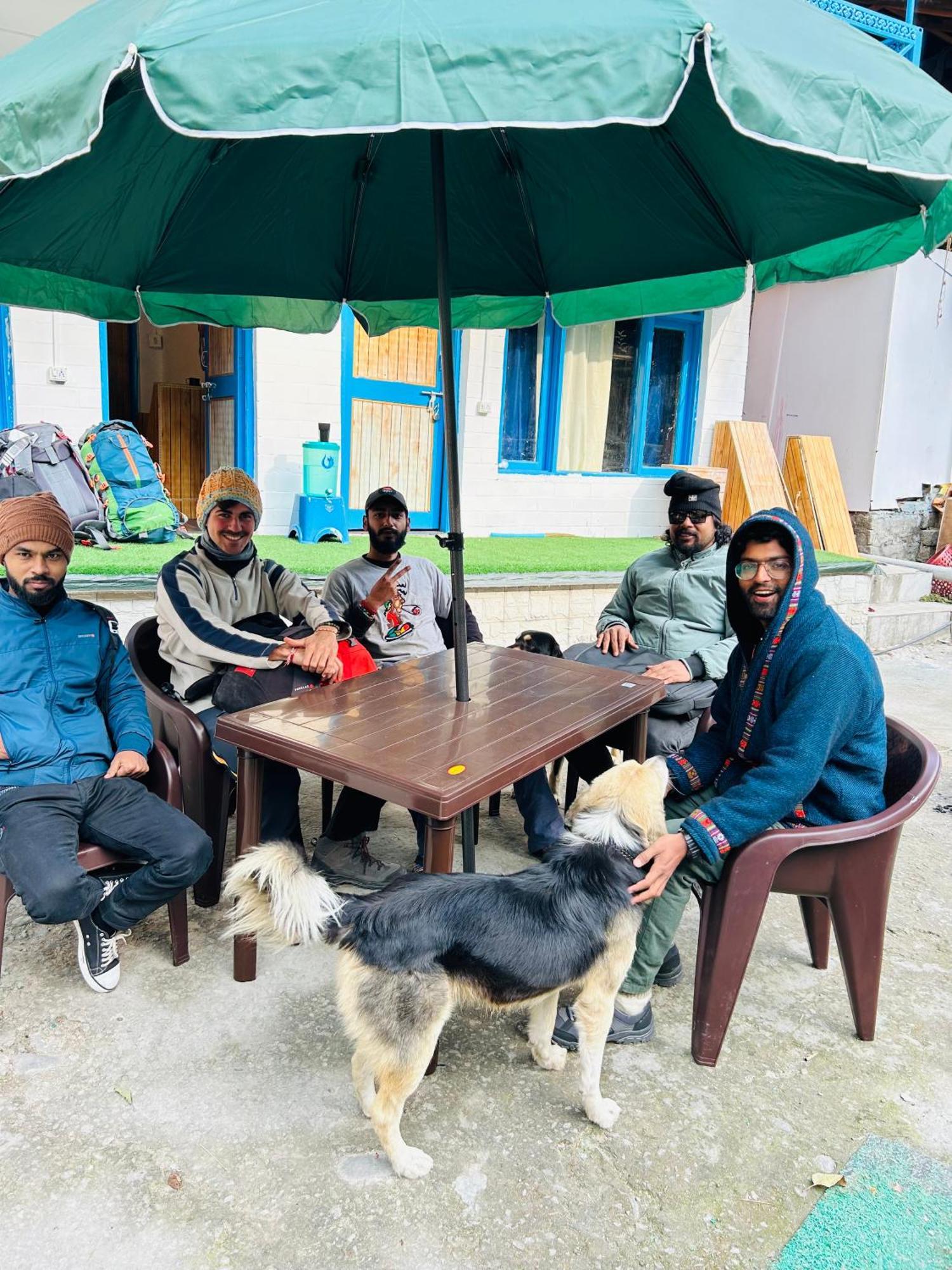 Tiny Spot Hostel Manali (Himachal Pradesh)