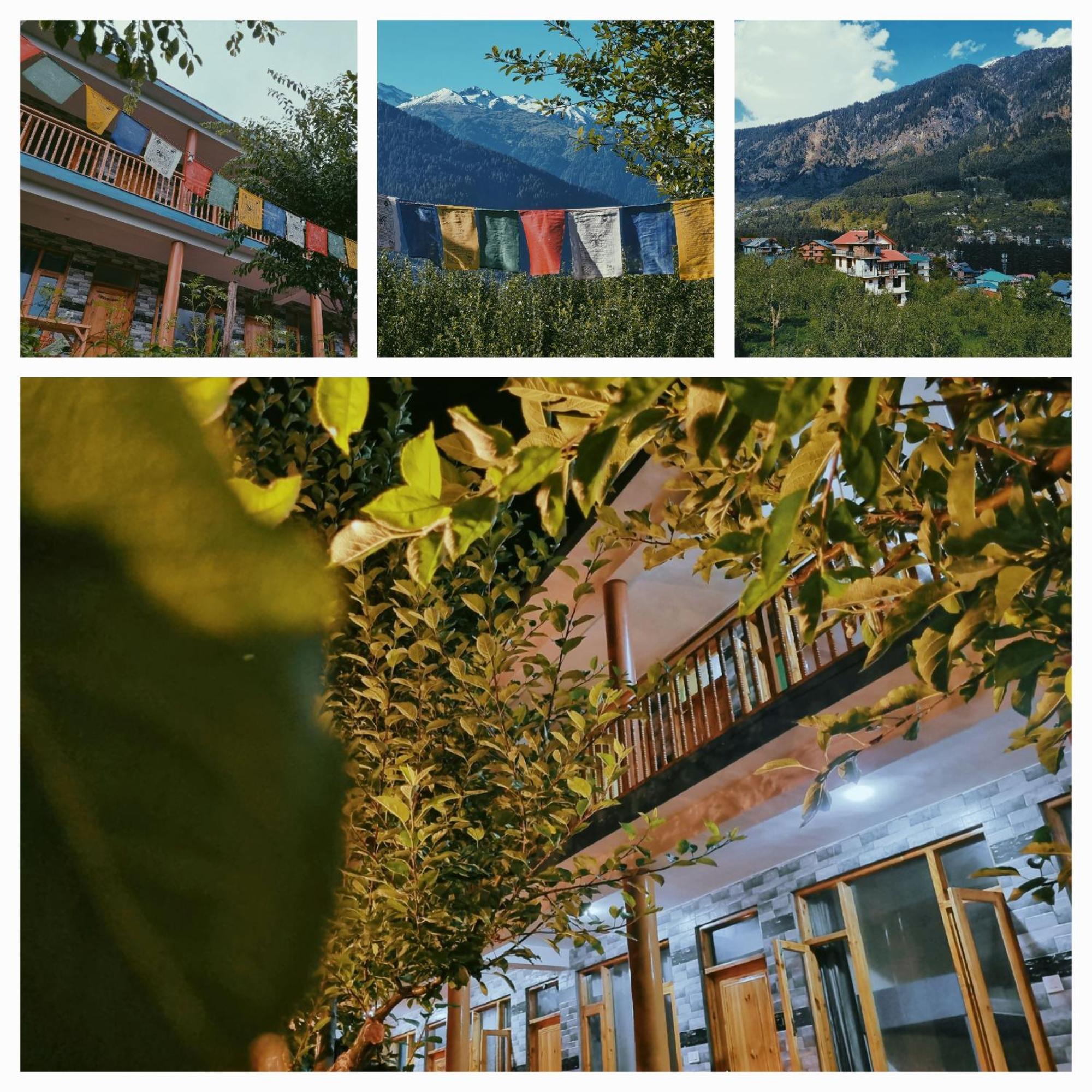 Hostel Kihala Homestay Manali (Himachal Pradesh)