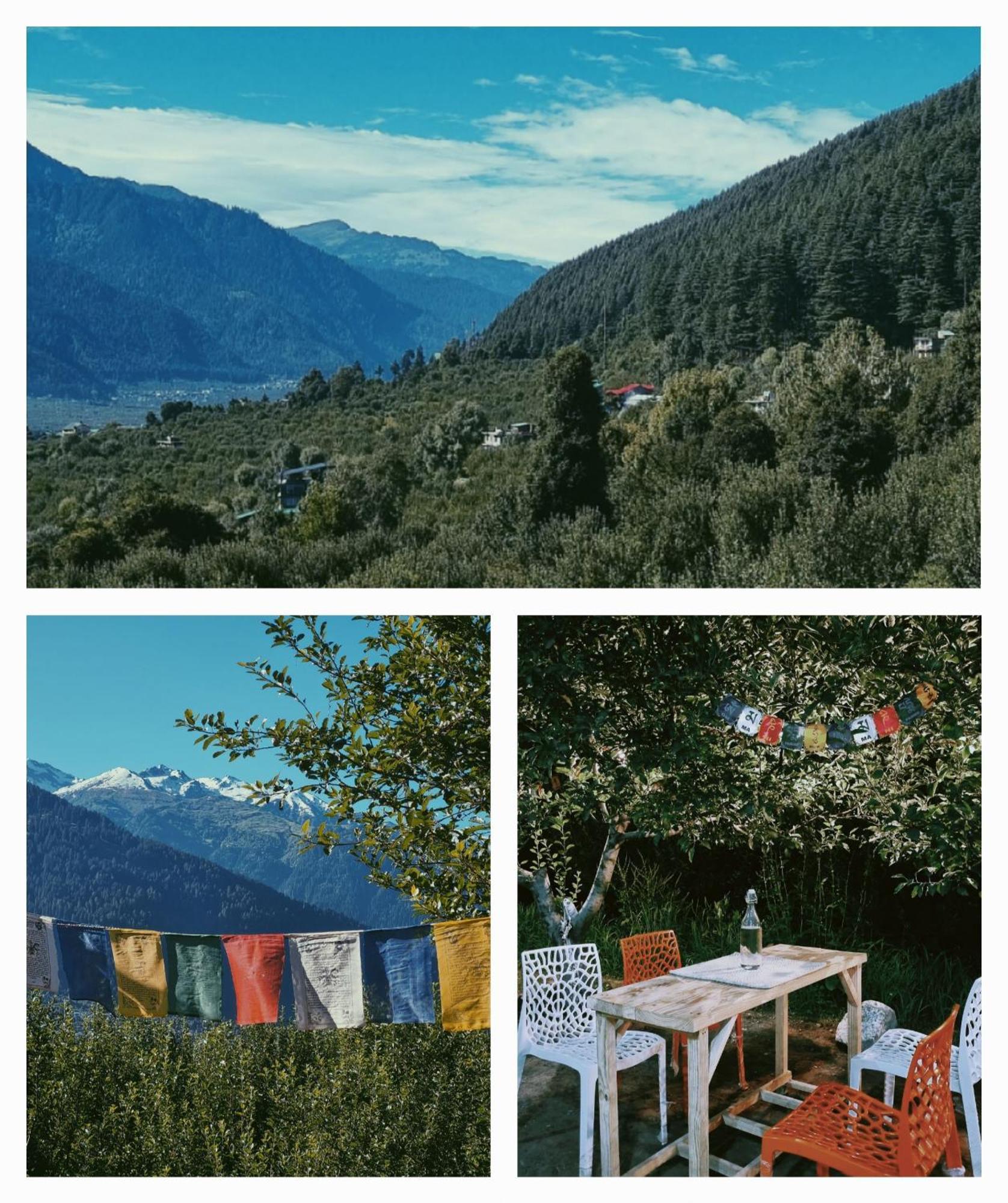 Kihala Homestay Hostel *