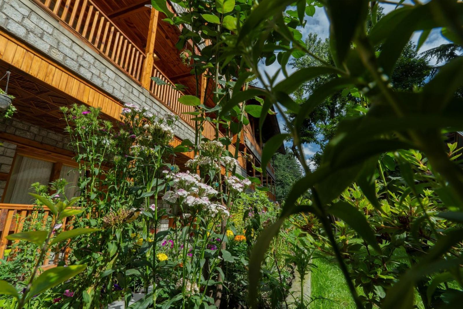 Hotel Negi's Mayflower A Heritage Since 1965 4*