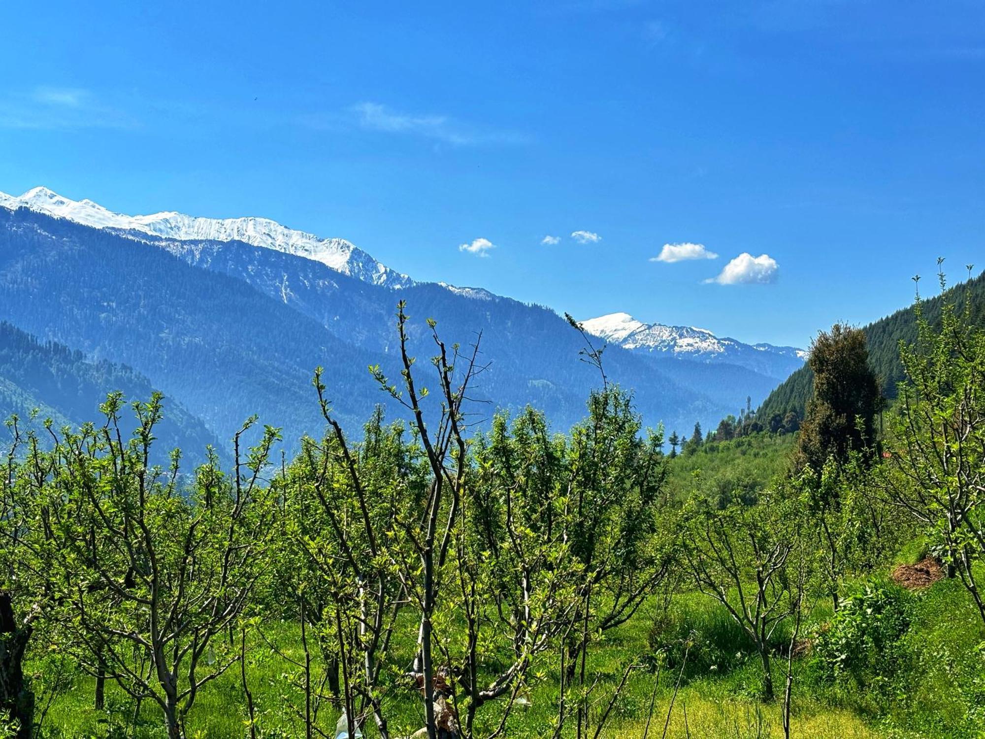 Kihala Homestay * Manali (Himachal Pradesh)