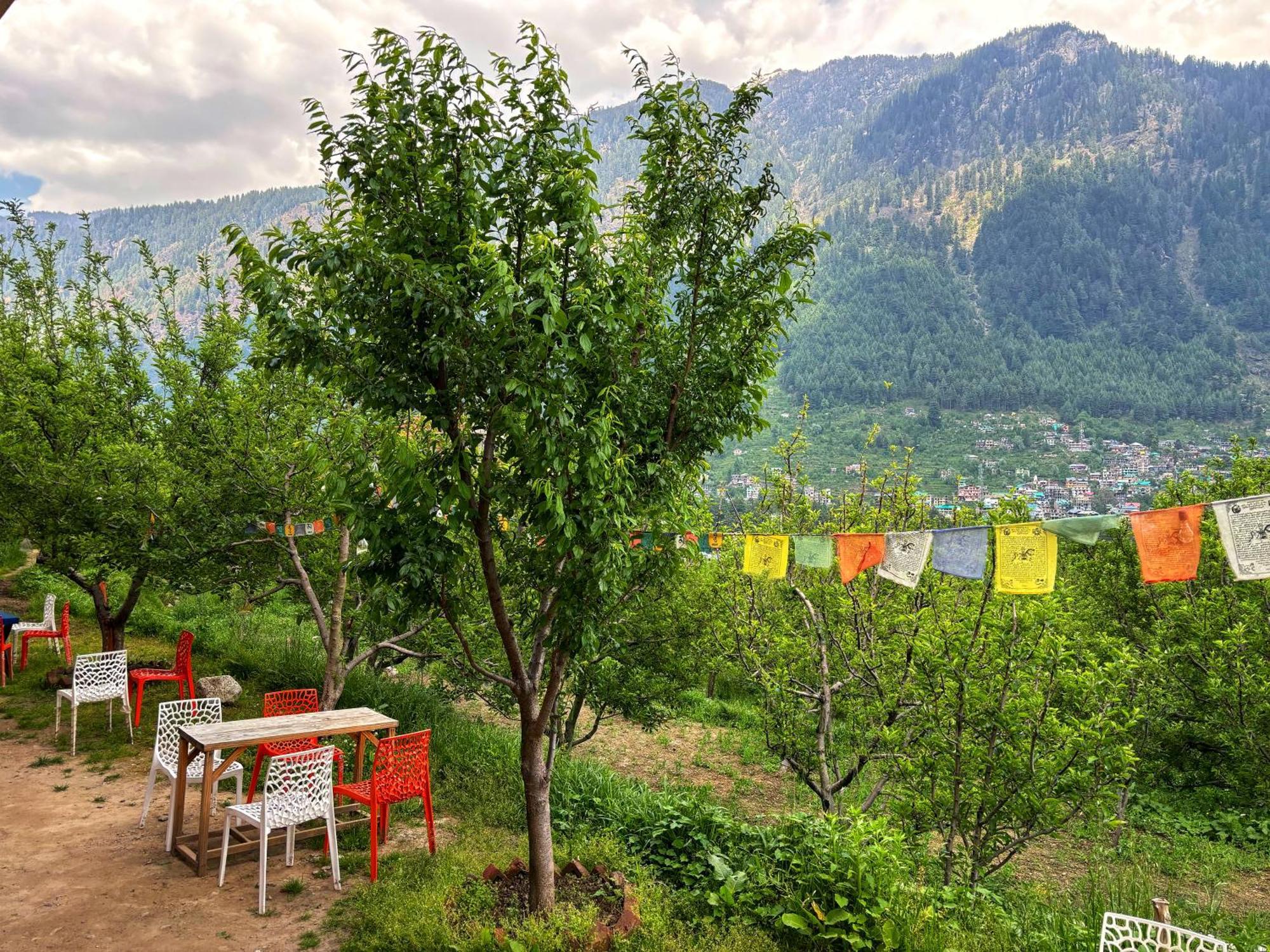 Kihala Homestay