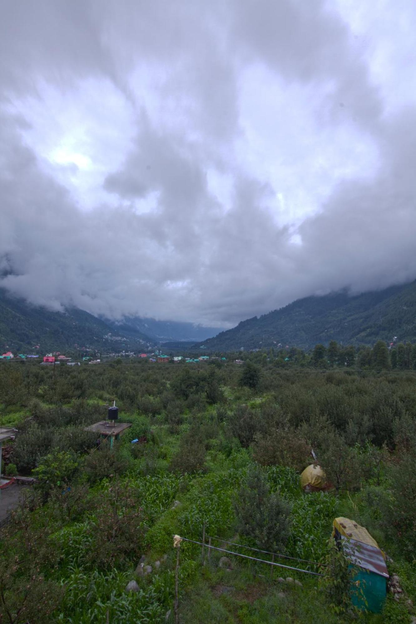 Kalista Resort Manali (Himachal Pradesh)