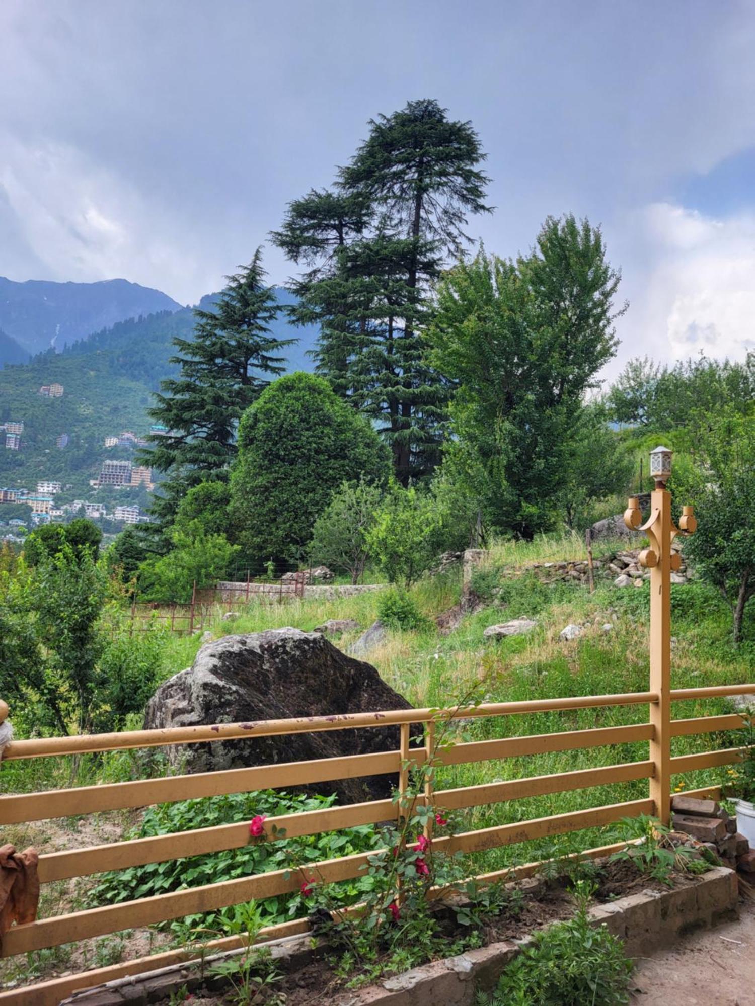 Himachali Didi Manali (Himachal Pradesh)