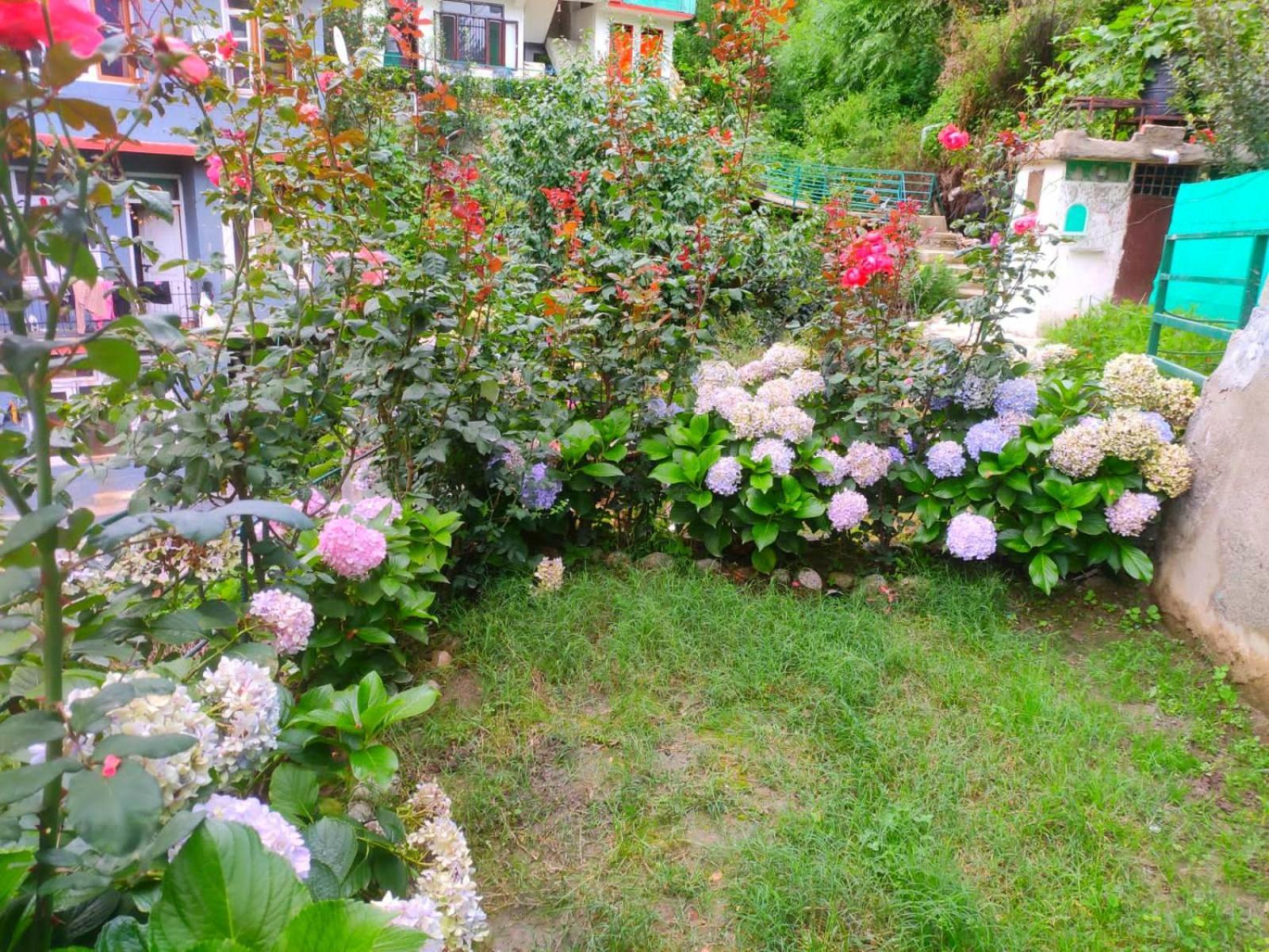 3-bedroom Private Swiss Near Mall Road Manali (Himachal Pradesh)