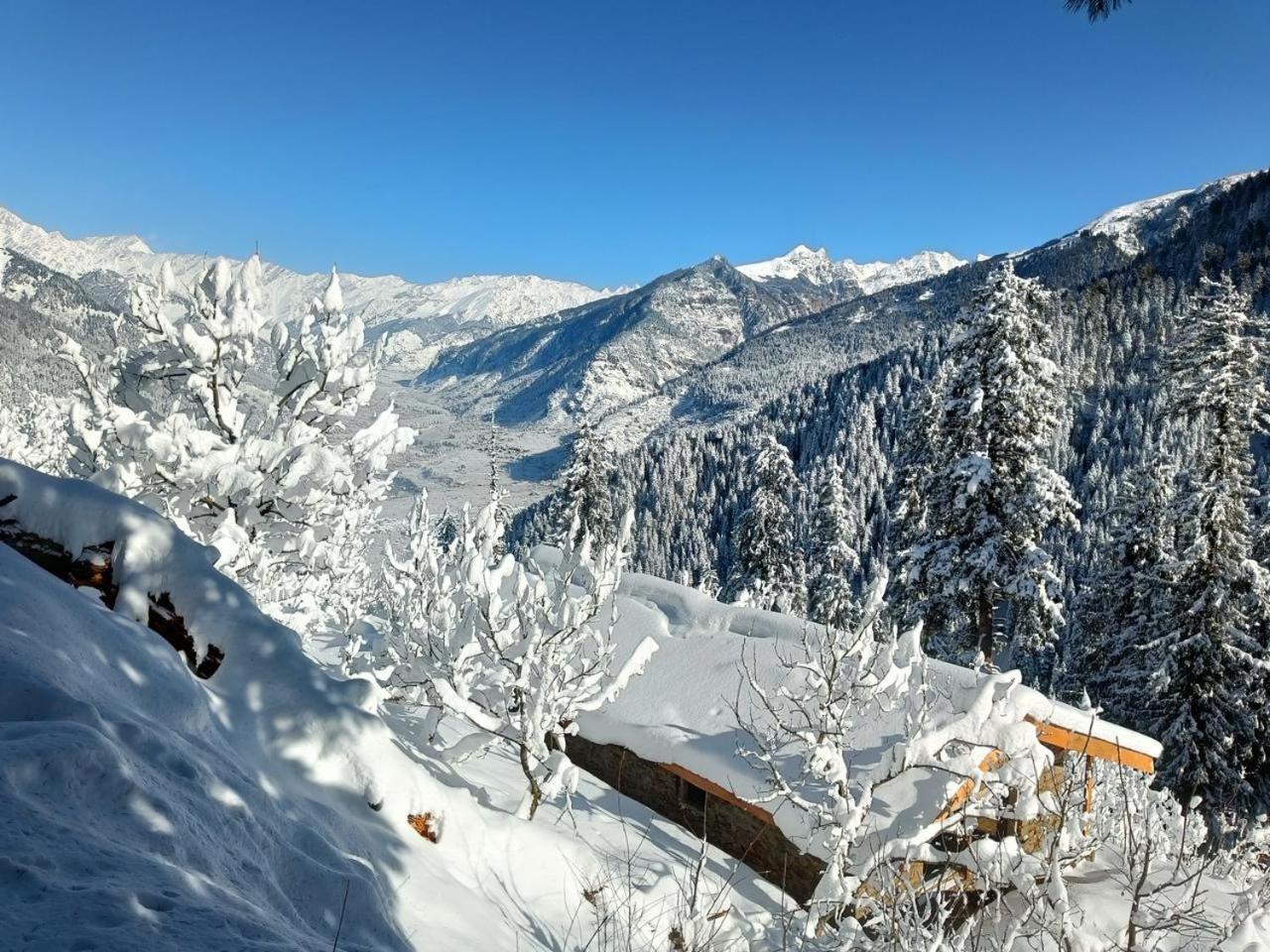 Cove The Glass House Manali (Himachal Pradesh)