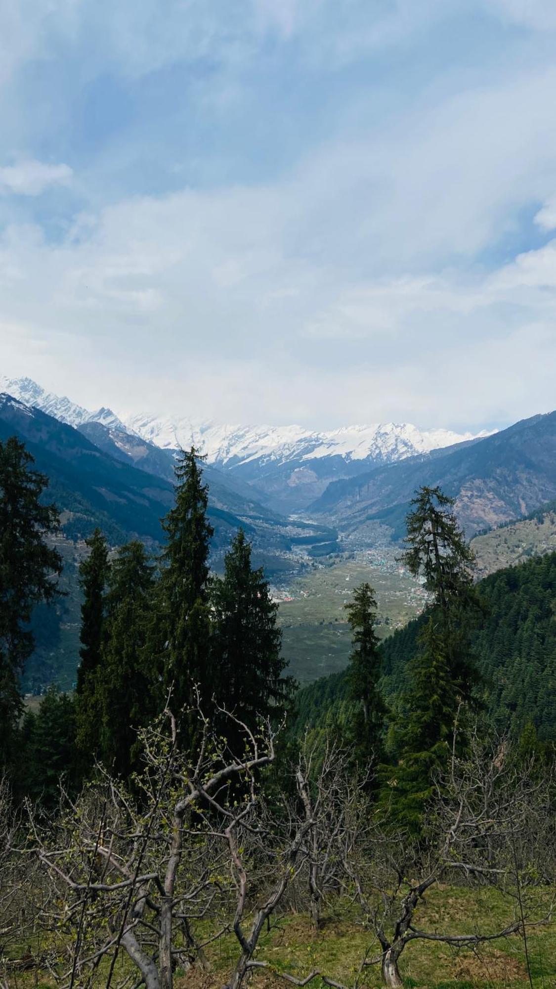 Farm stay Cove The Glass House Manali (Himachal Pradesh)