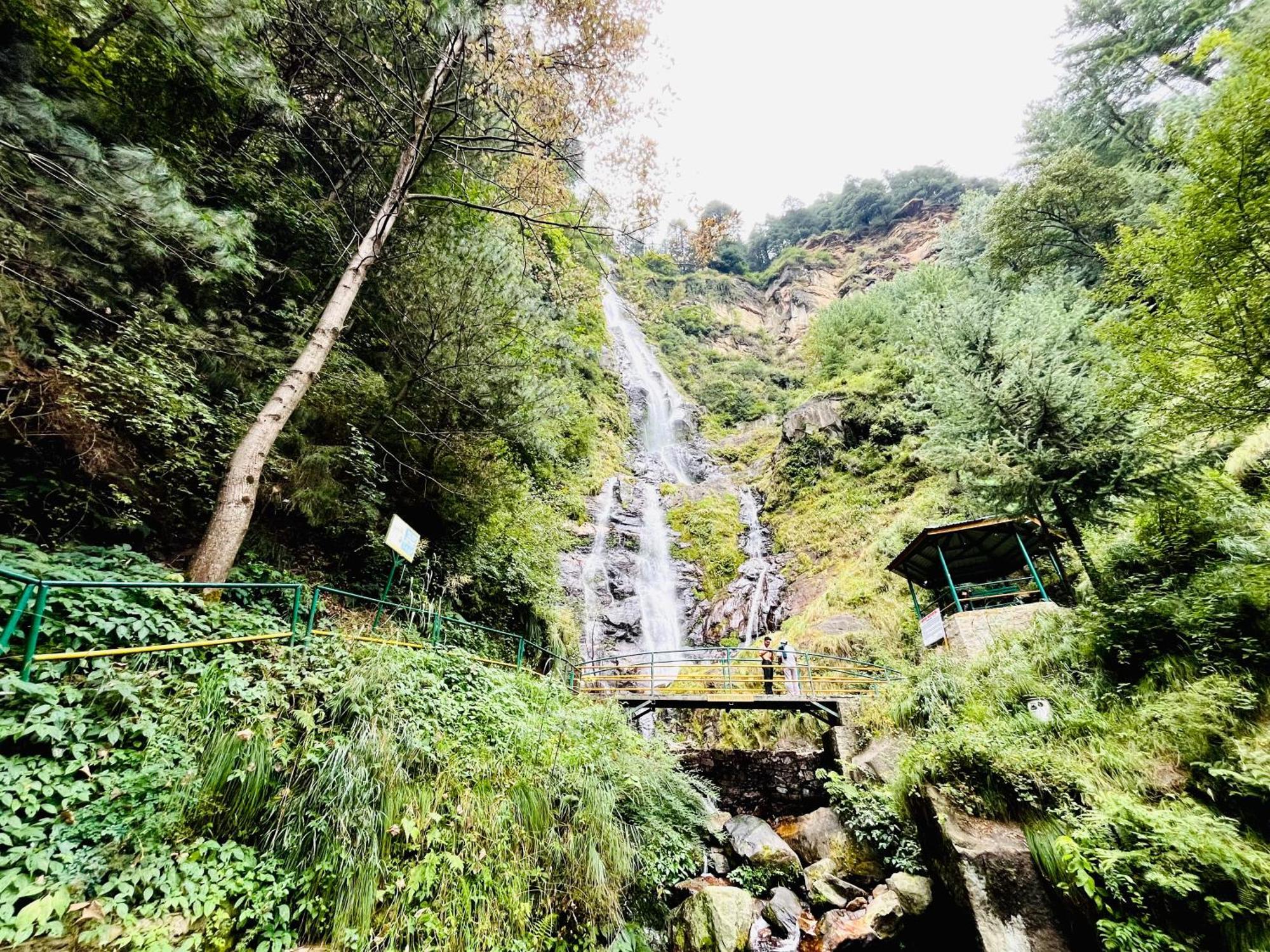 Homestay Pine N Peak