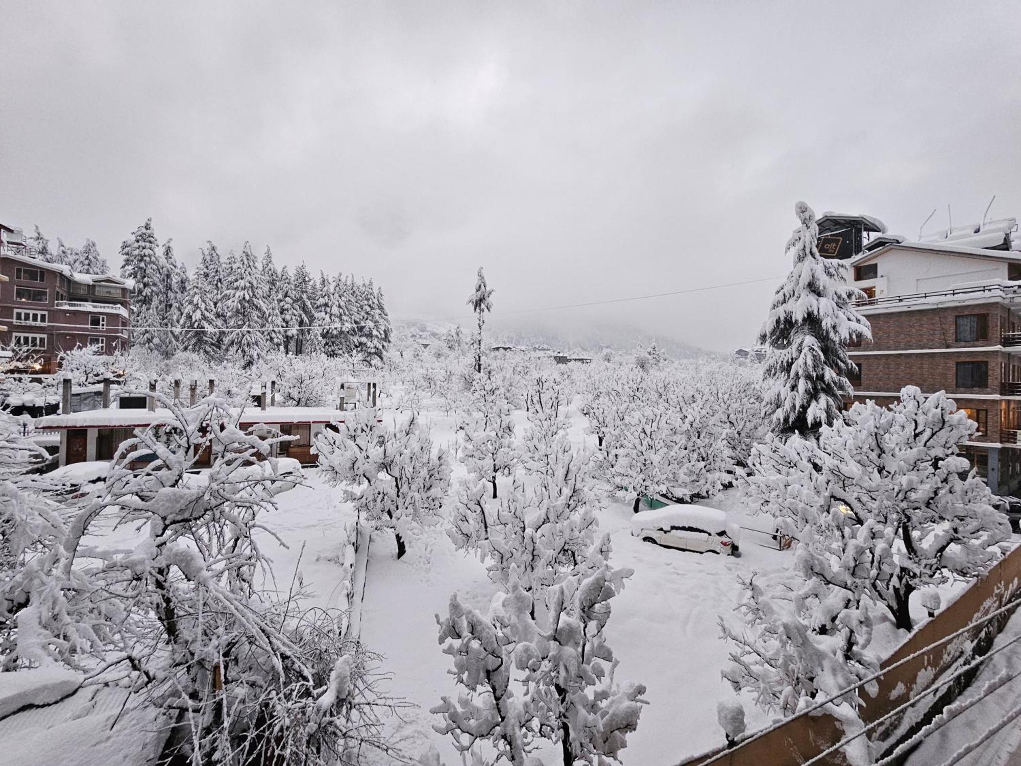 Hotel Apple Flower 3* Manali (Himachal Pradesh)