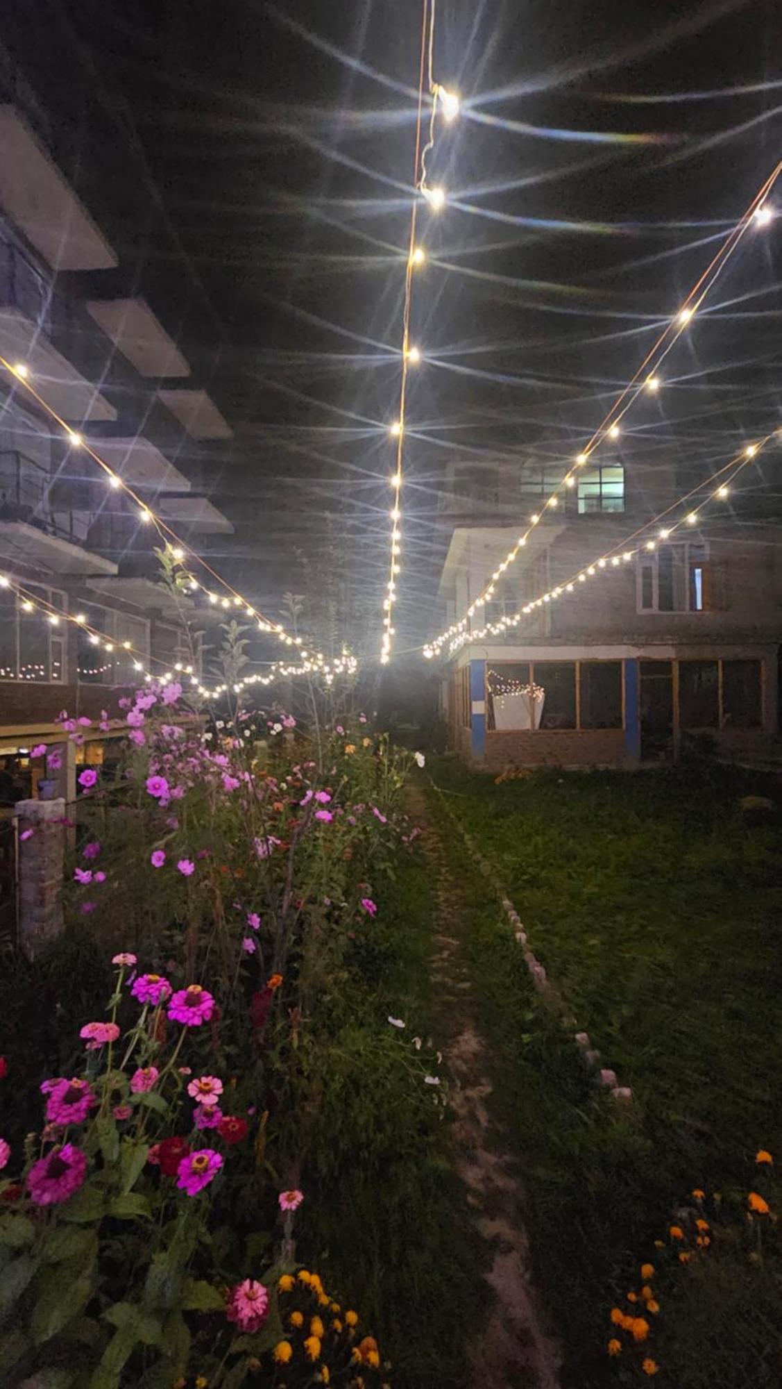 Hotel Apple Flower Hotel Manali (Himachal Pradesh)