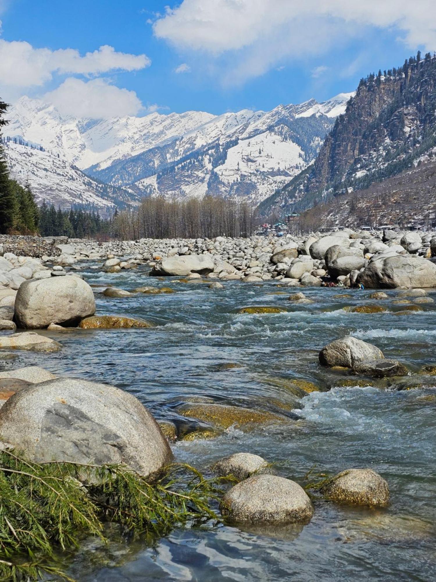 Hotel Apple Flower Hotel Manali (Himachal Pradesh)