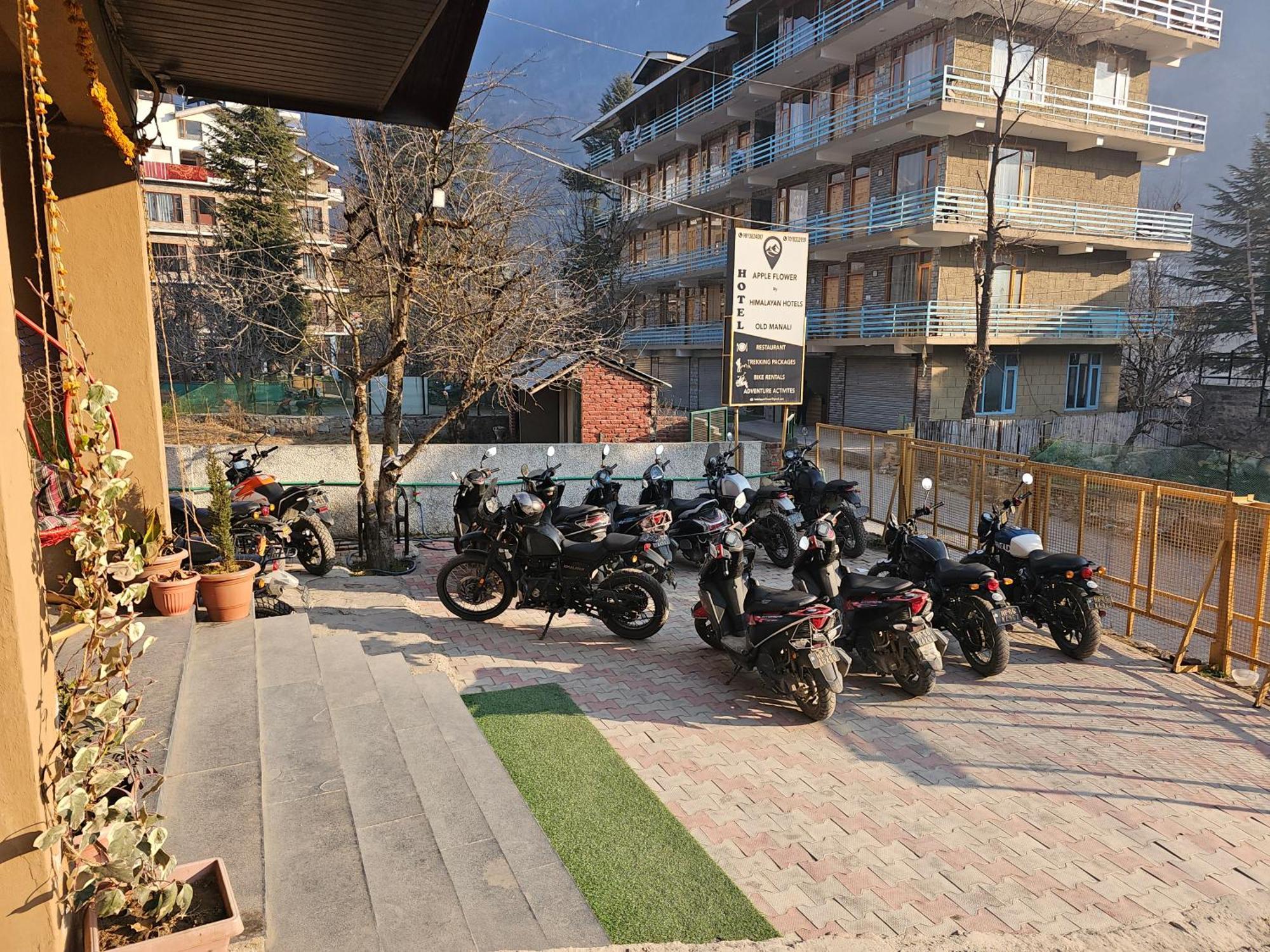 Hotel Hotel Apple Flower Manali (Himachal Pradesh)