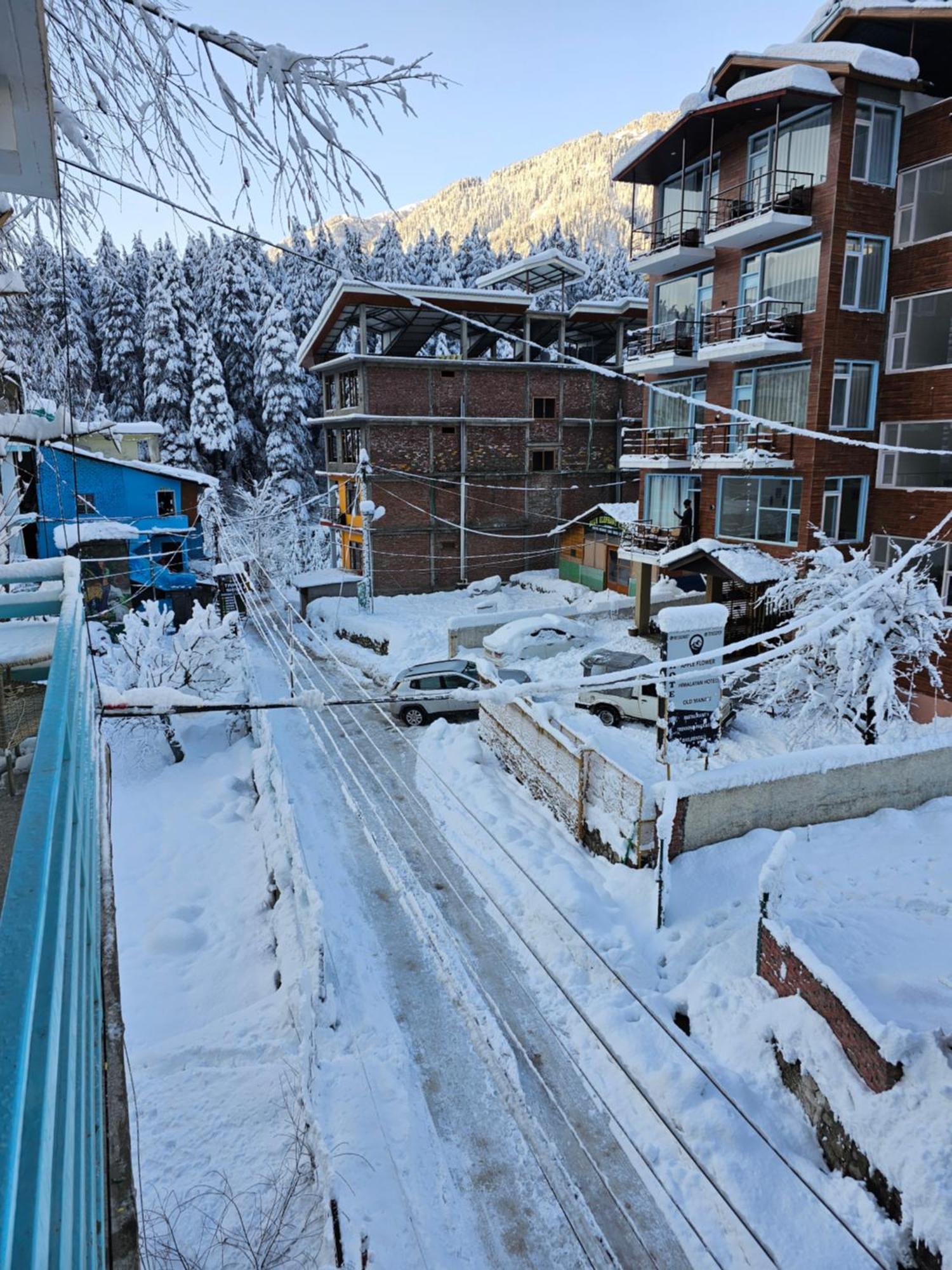 Hotel Apple Flower Manali (Himachal Pradesh)