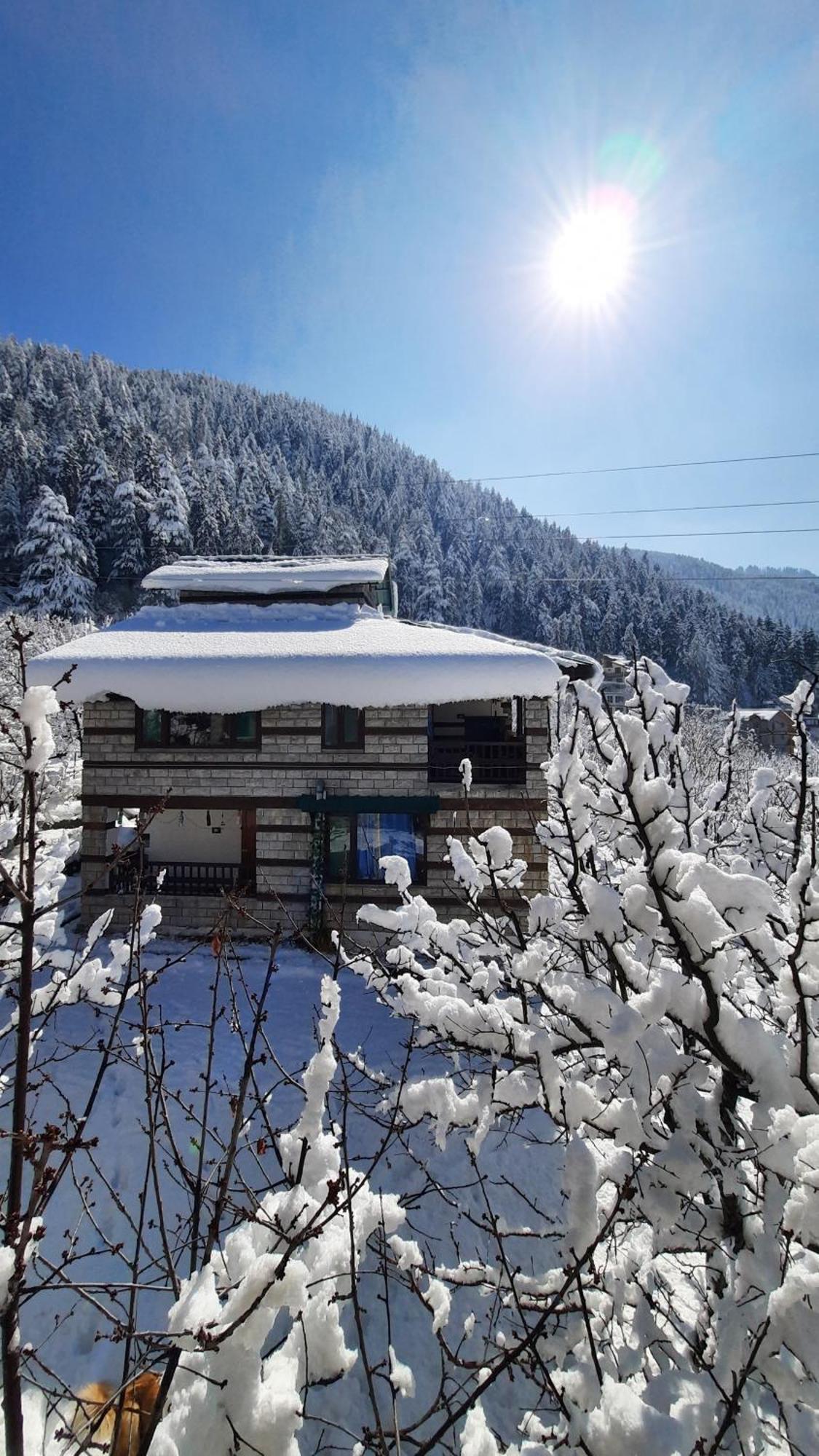 Hostel The Hideout - Hiraeth Manali (Himachal Pradesh)
