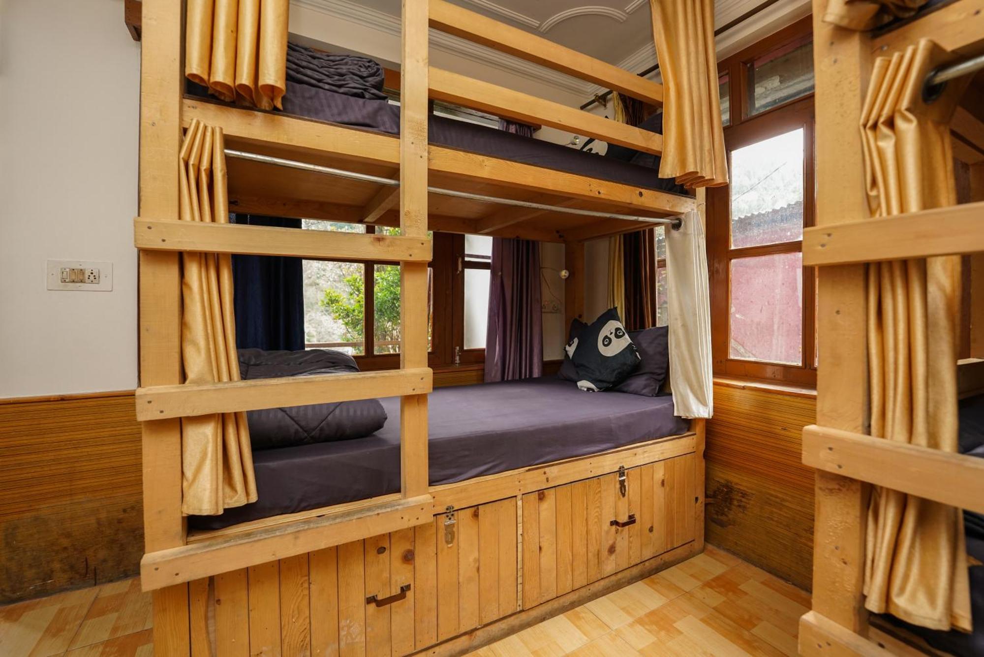 Hippie Panda Hostel Manali (Himachal Pradesh)