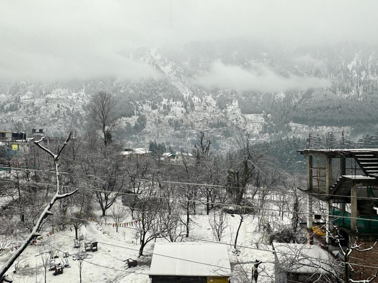 Hotel Beholden And Cafe - Old Manali (Himachal Pradesh)