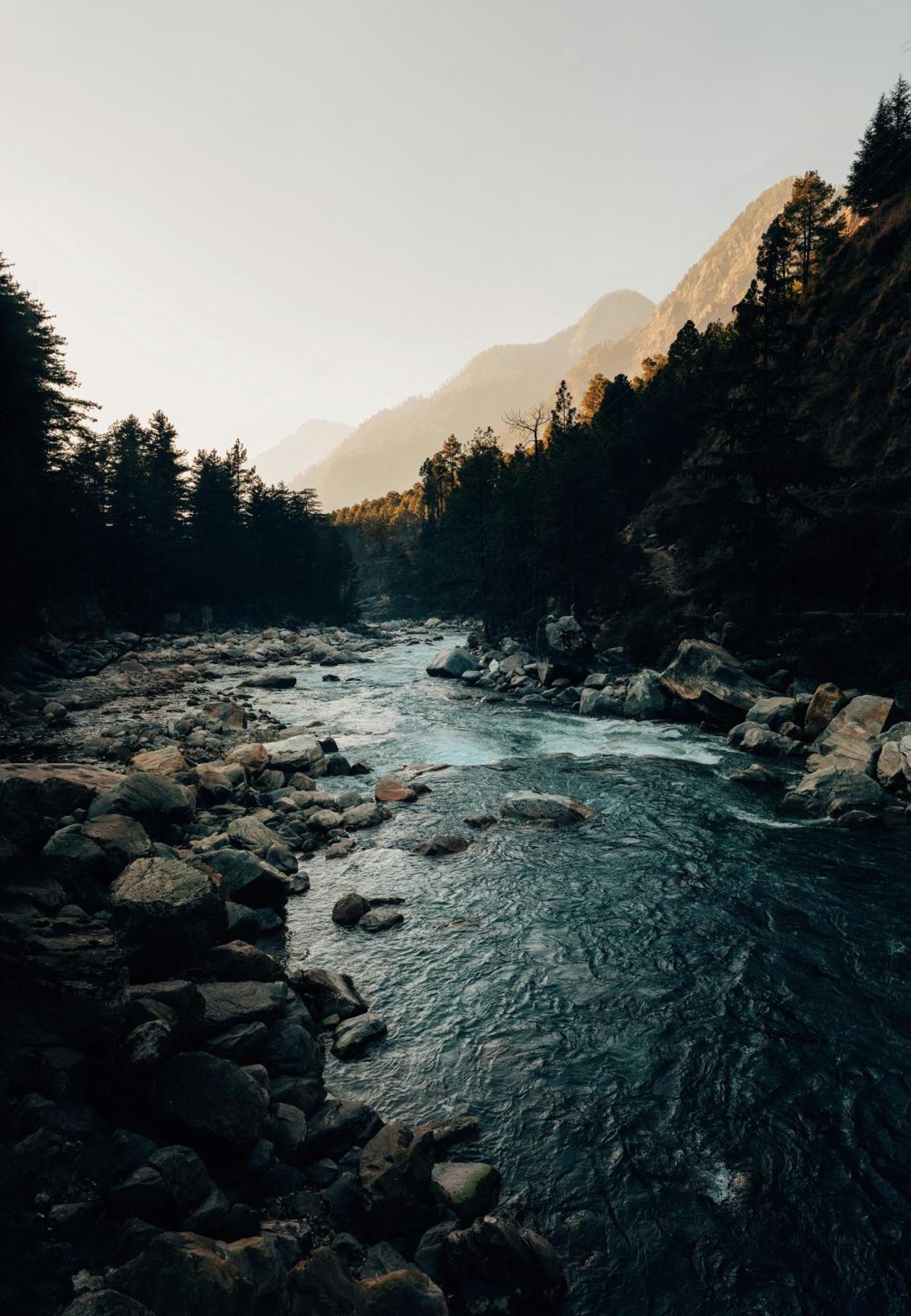 360 Degree Hostel Manali (Himachal Pradesh)