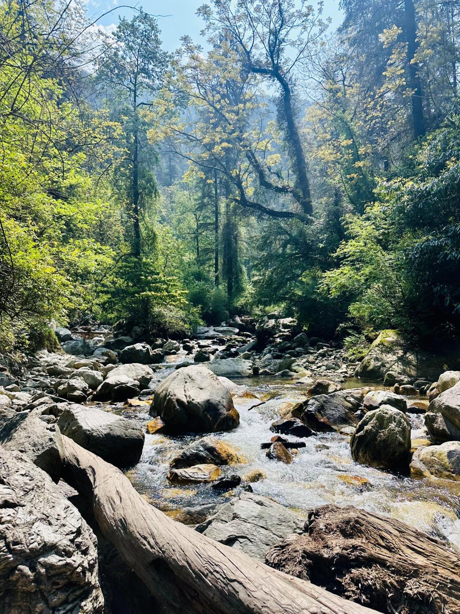 360 Degree * Manali (Himachal Pradesh)