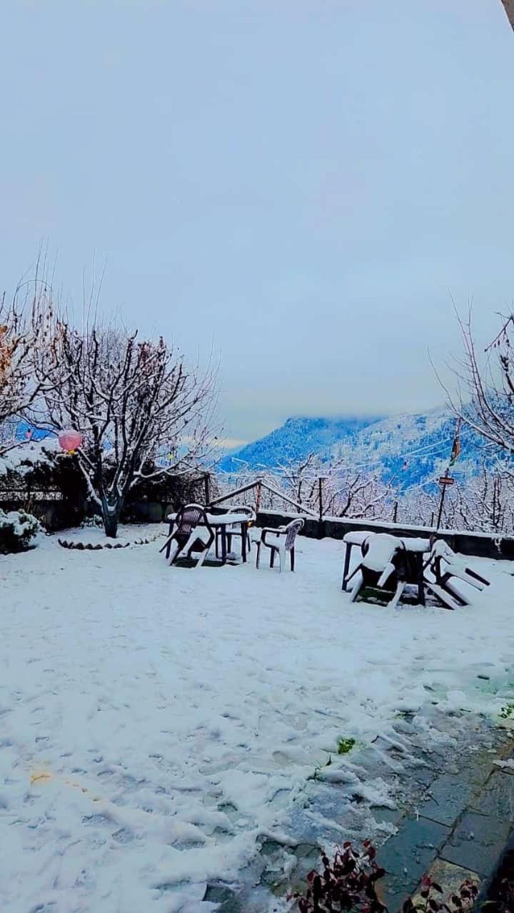 Glorious * Manali (Himachal Pradesh)