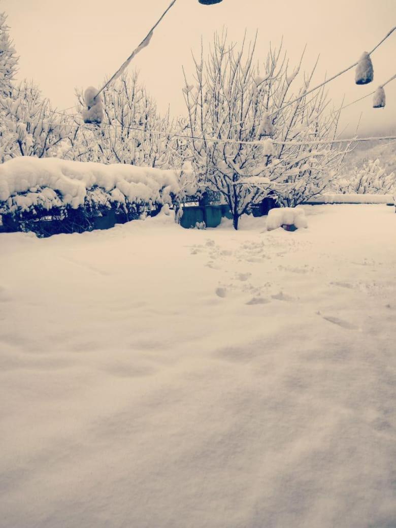 Glorious Manali (Himachal Pradesh)