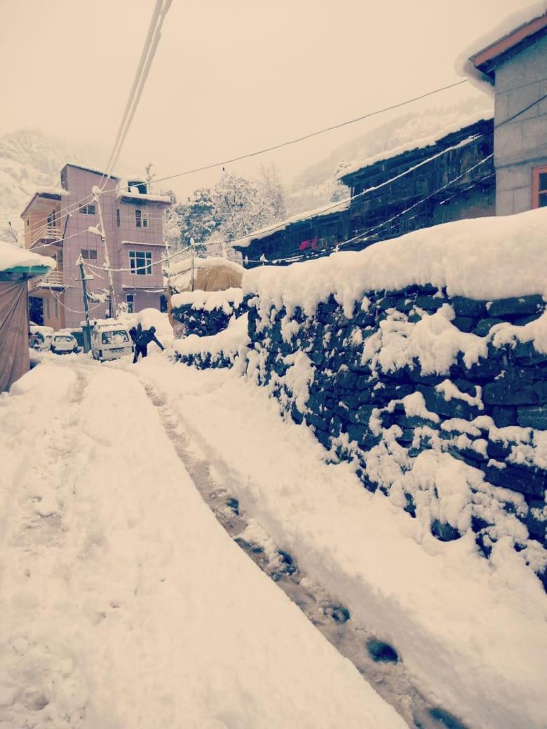 Glorious Manali (Himachal Pradesh)