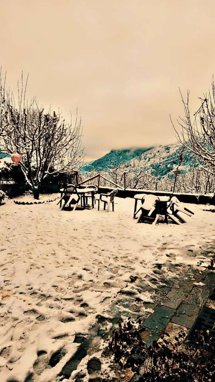 Glorious Hotel Manali (Himachal Pradesh)