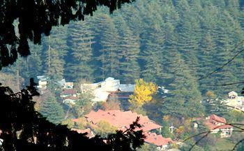 Hotel Negis Mayflower