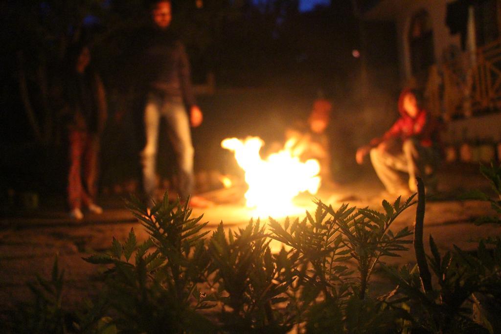 Orchards House - The Hidden Tribe Manali (Himachal Pradesh)