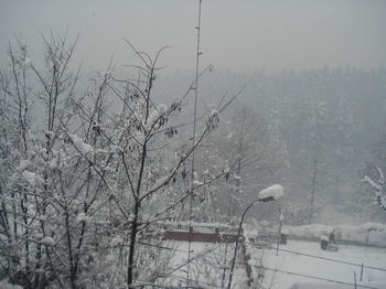 Vintage 3* Manali (Himachal Pradesh)