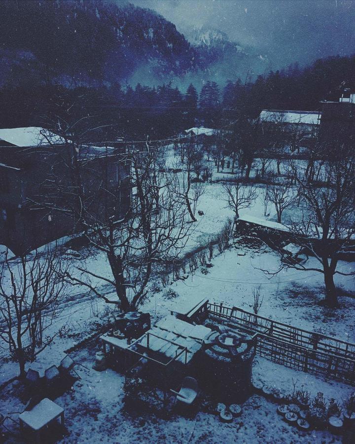 Orchards House - The Hidden Tribe Manali (Himachal Pradesh)