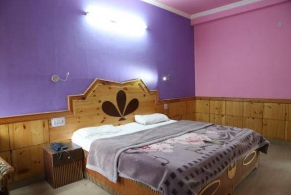 Nandini Palace 2* Manali (Himachal Pradesh)