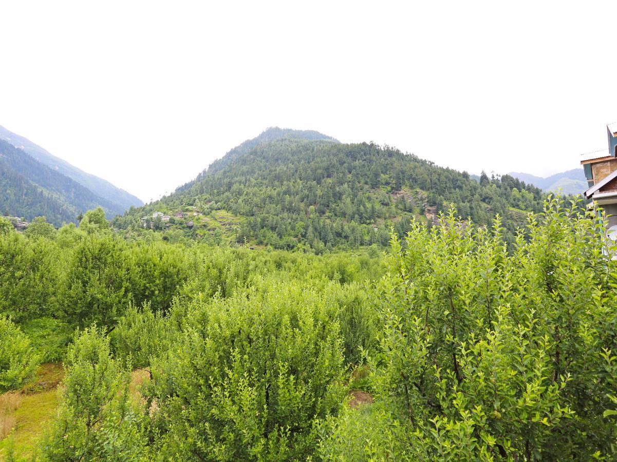Hotel Oyo 9483 Himalayan Ecstacy Manali (Himachal Pradesh)