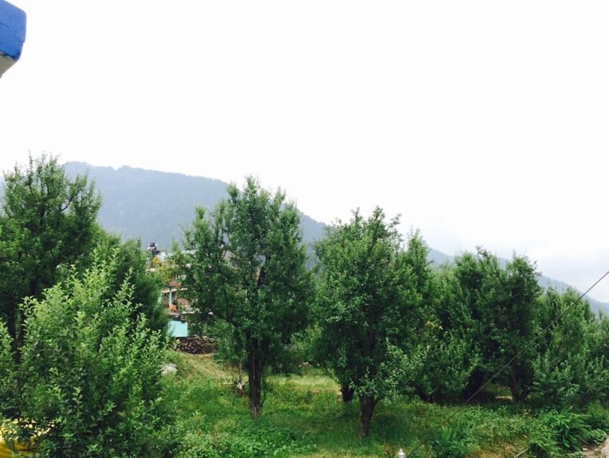 The Lost Tribe Hostels Hostel Manali (Himachal Pradesh)