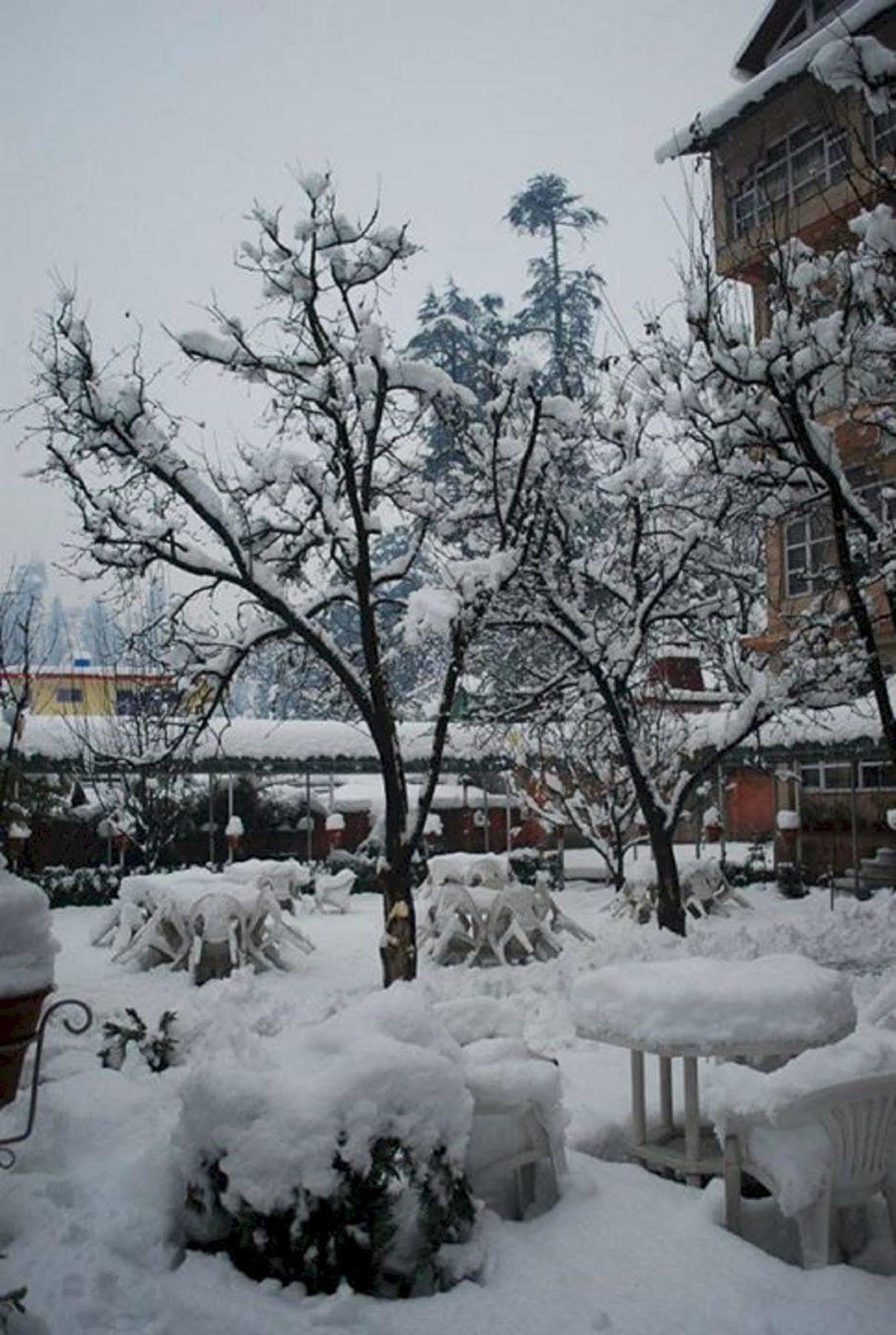Bravia Hotel Manali (Himachal Pradesh)