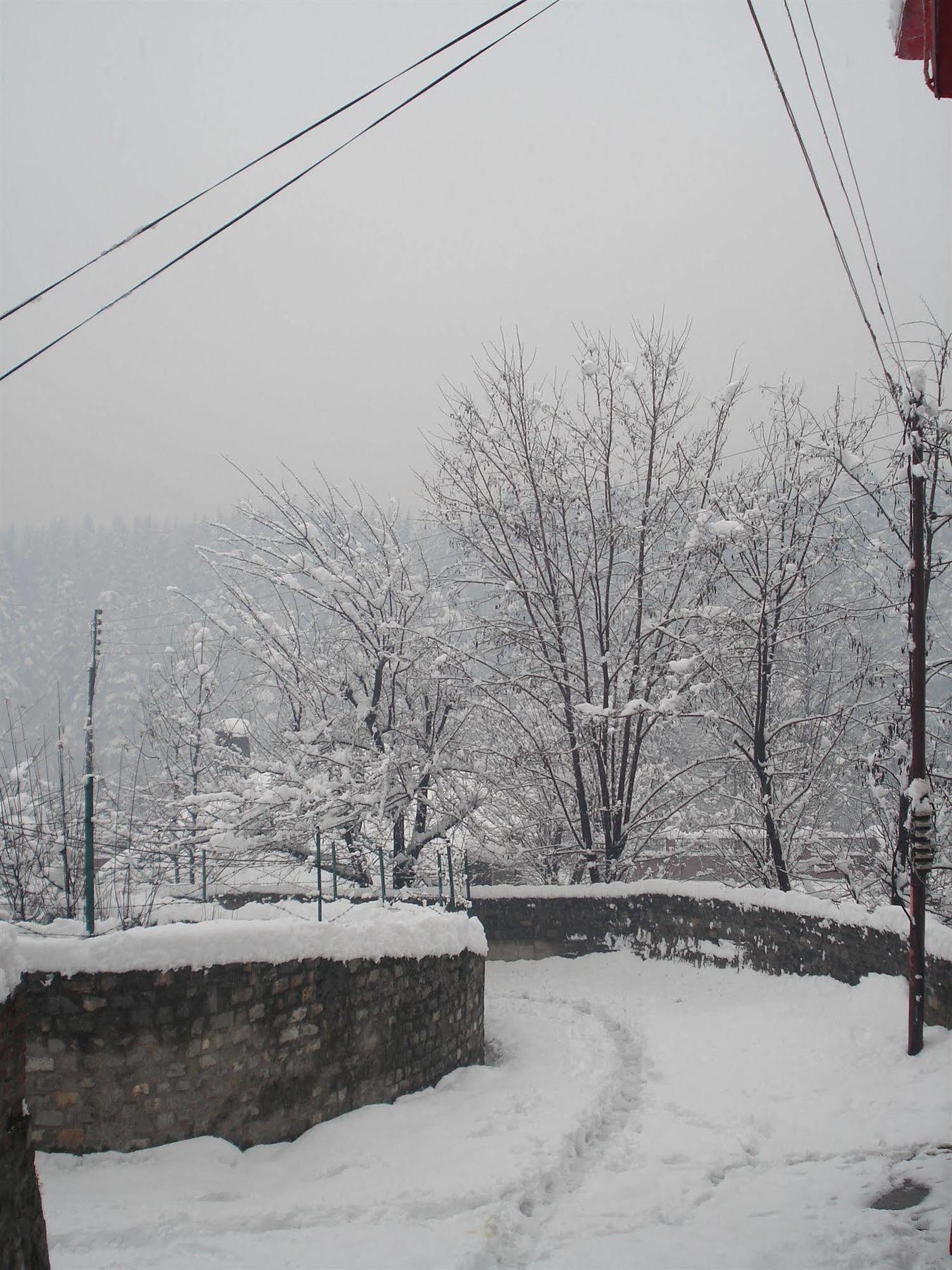 Vintage Hotel Manali (Himachal Pradesh)