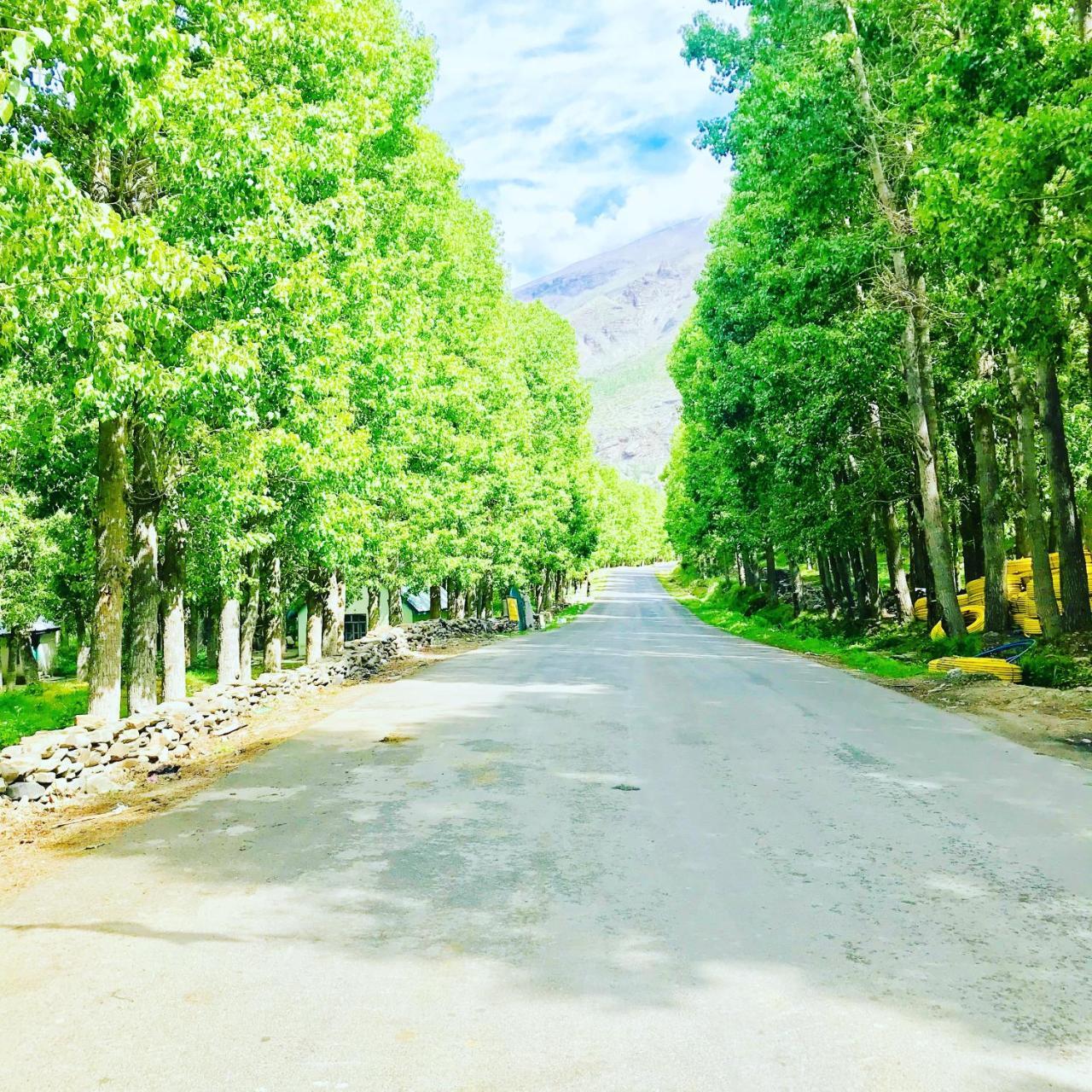 Plm Dhara * Manali (Himachal Pradesh)