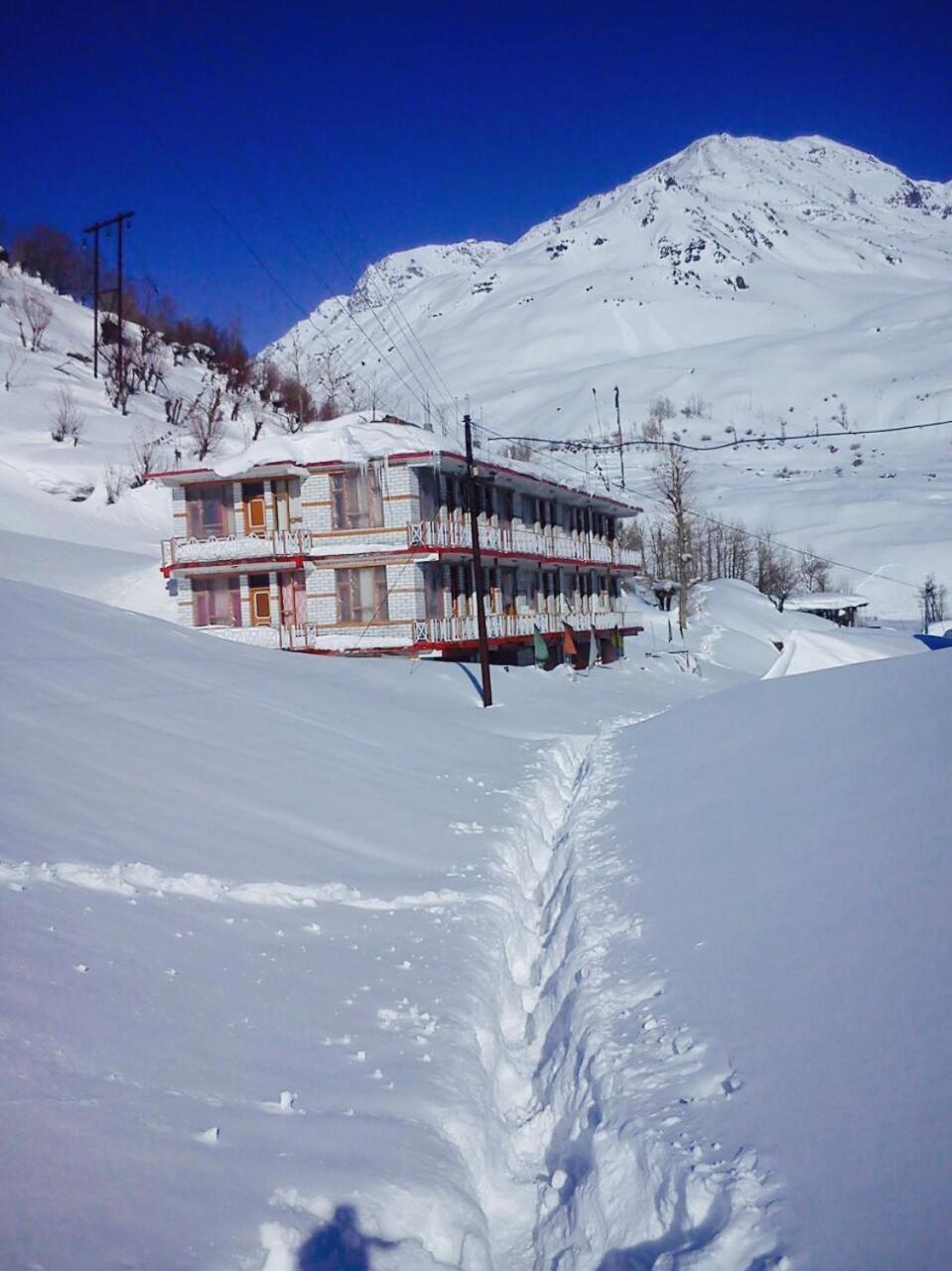 Plm Dhara * Manali (Himachal Pradesh)