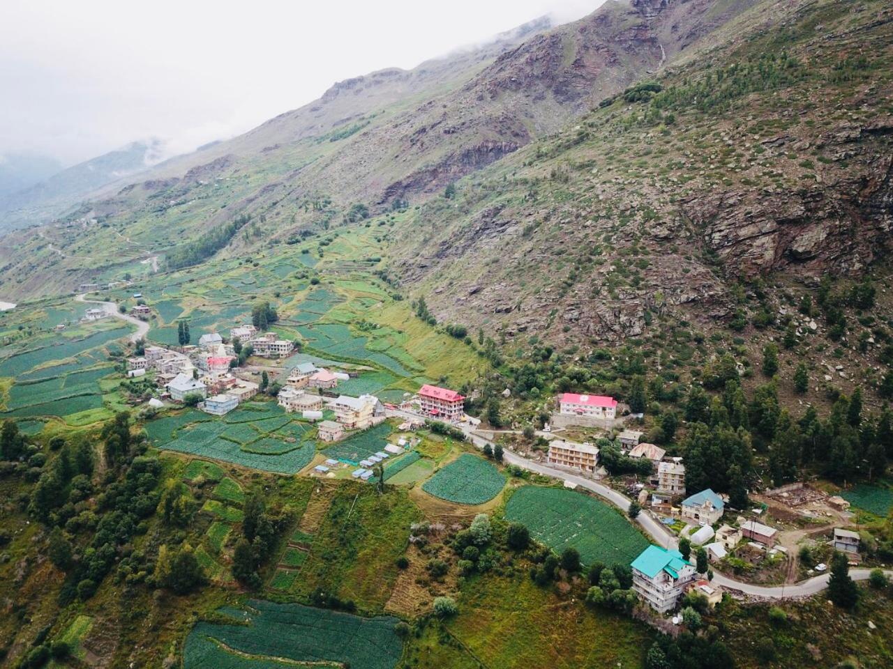 Hotel Plm Dhara