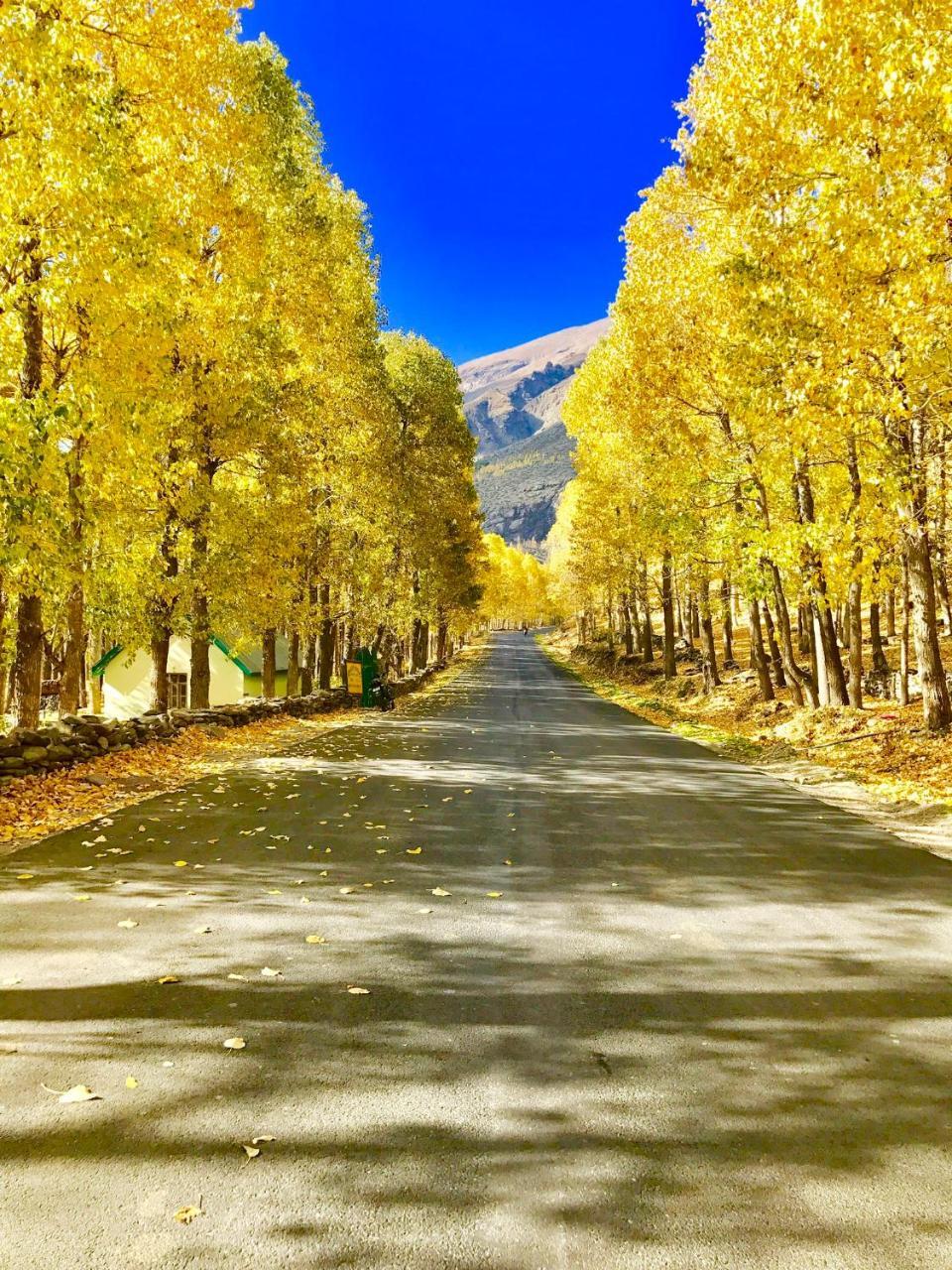 Plm Dhara Manali (Himachal Pradesh)