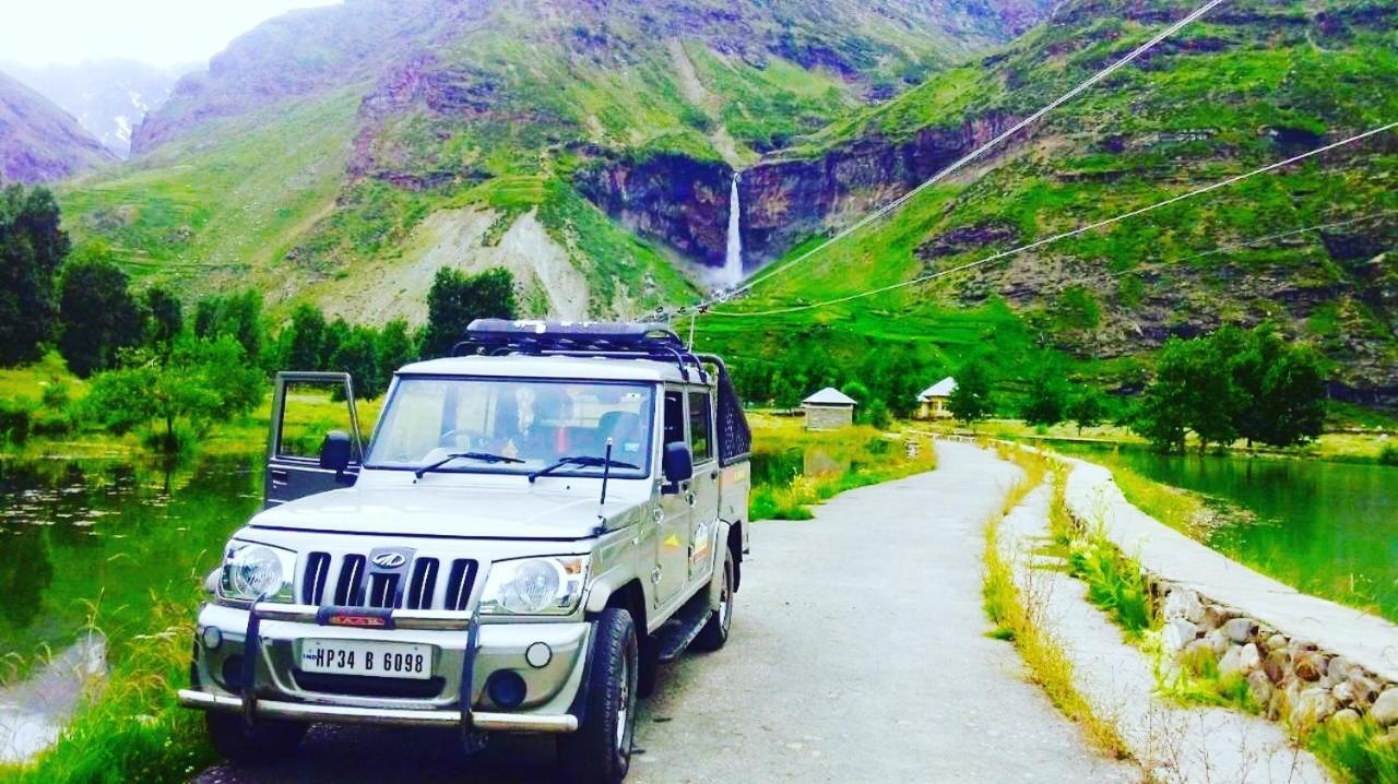 Plm Dhara * Manali (Himachal Pradesh)